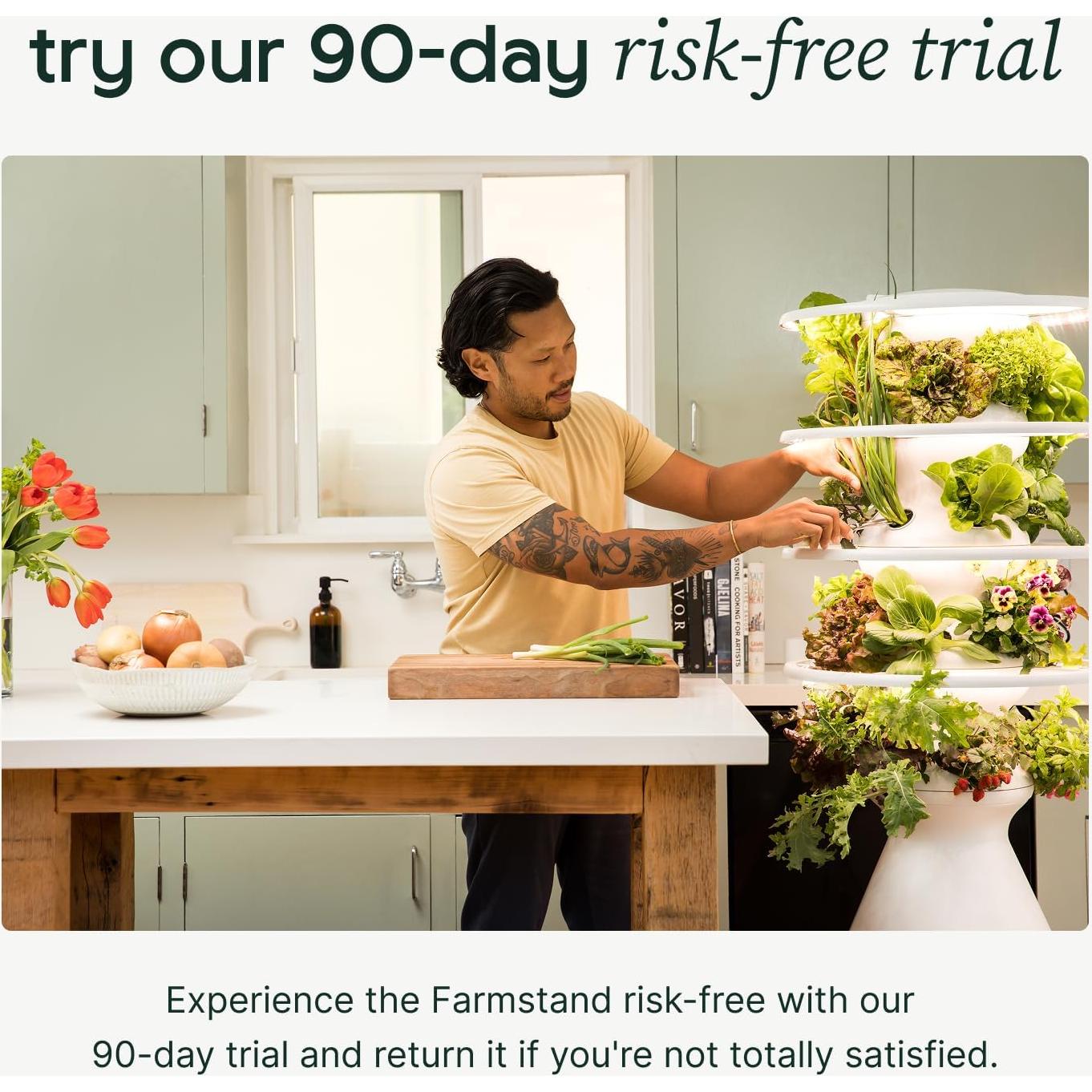 Kit Hidropónico Pequeño Lettuce Grow + 18 Plántulas