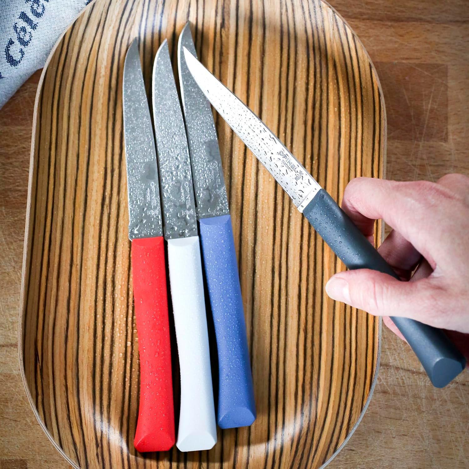 Set de 4 cuchillos de steak Opinel Bon Appetit Nube
