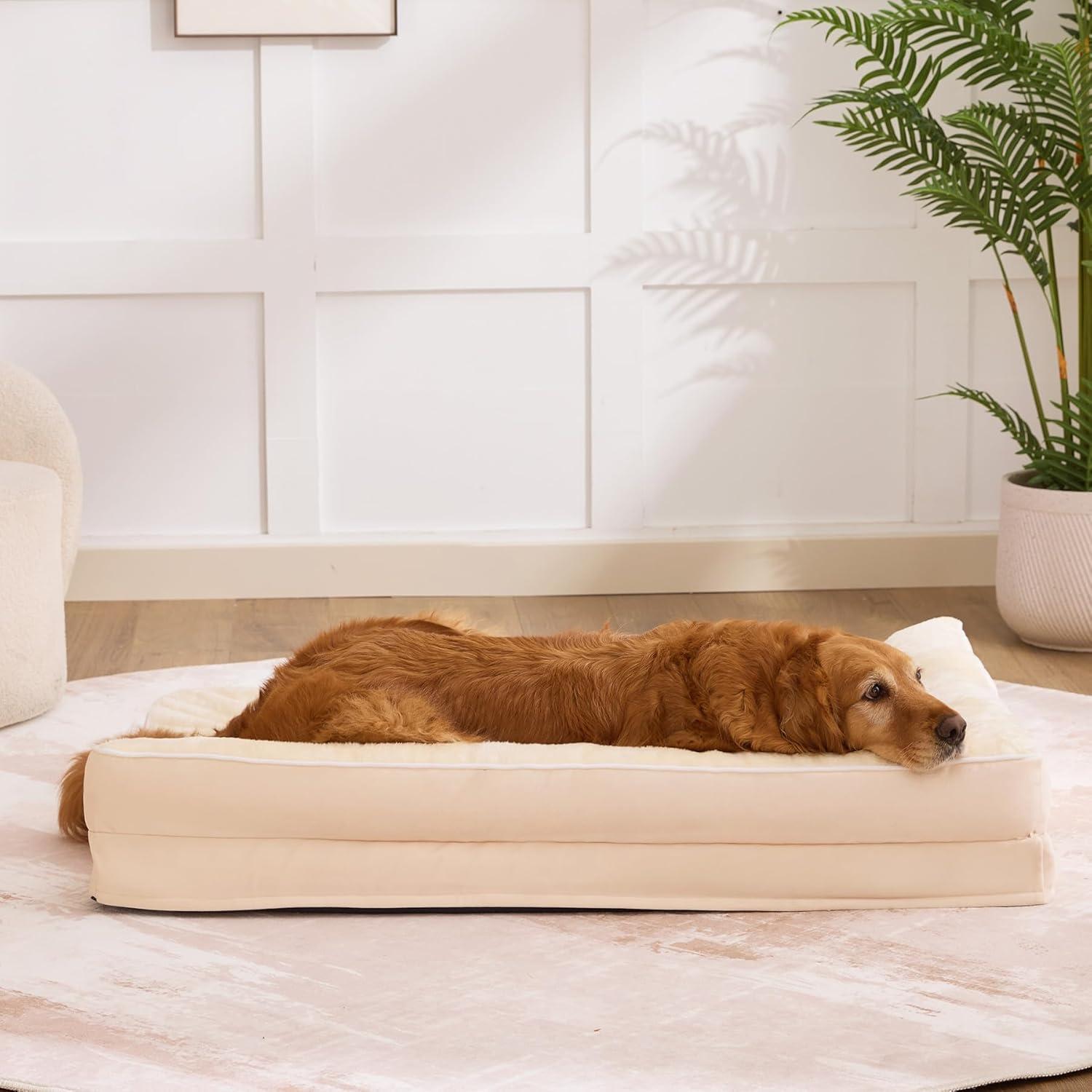 Cama Ortopédica para Perros Grandes Aeroluxe Beige 91x68cm