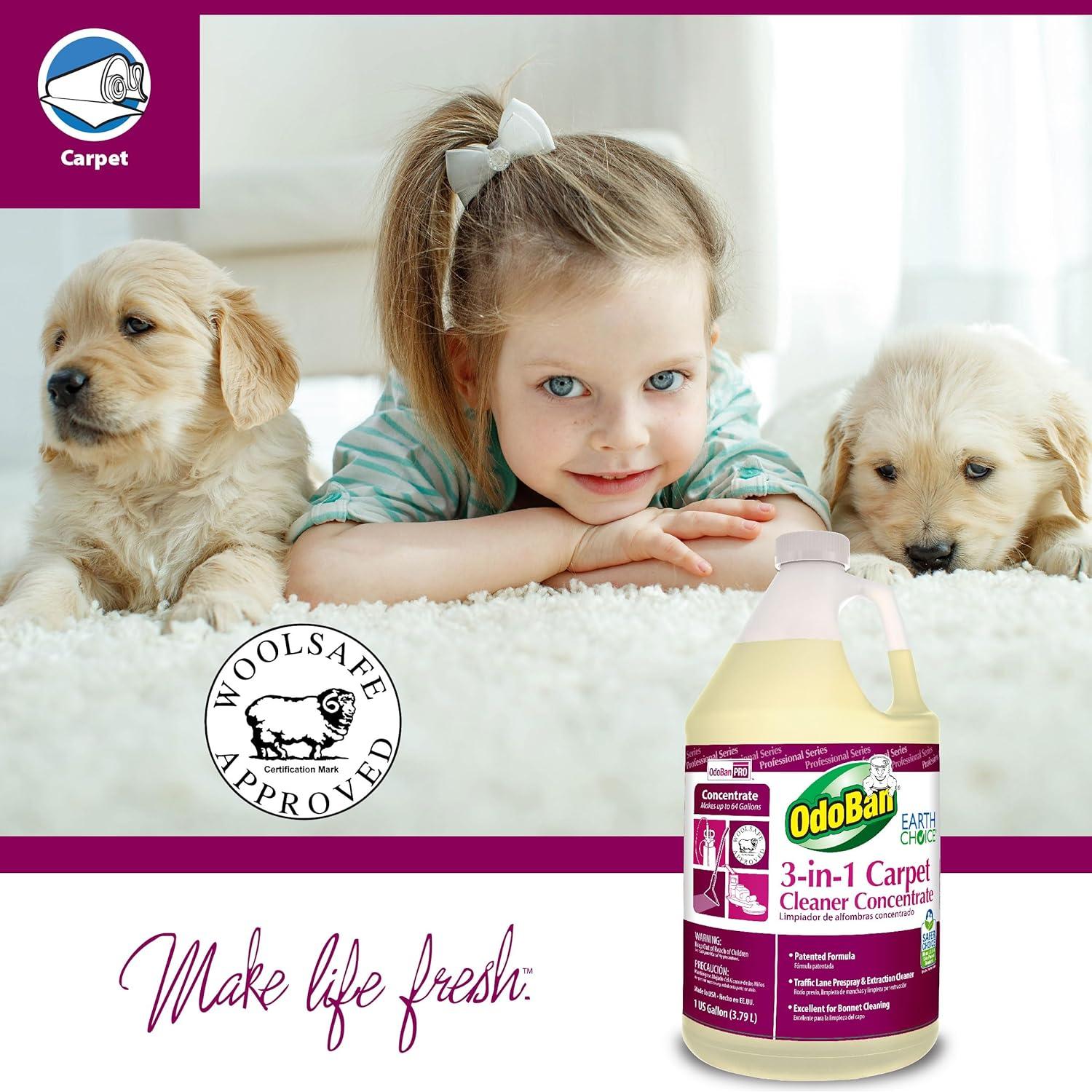 Limpiador de Alfombra Concentrado OdoBan 3-en-1 7.56L Set de 2