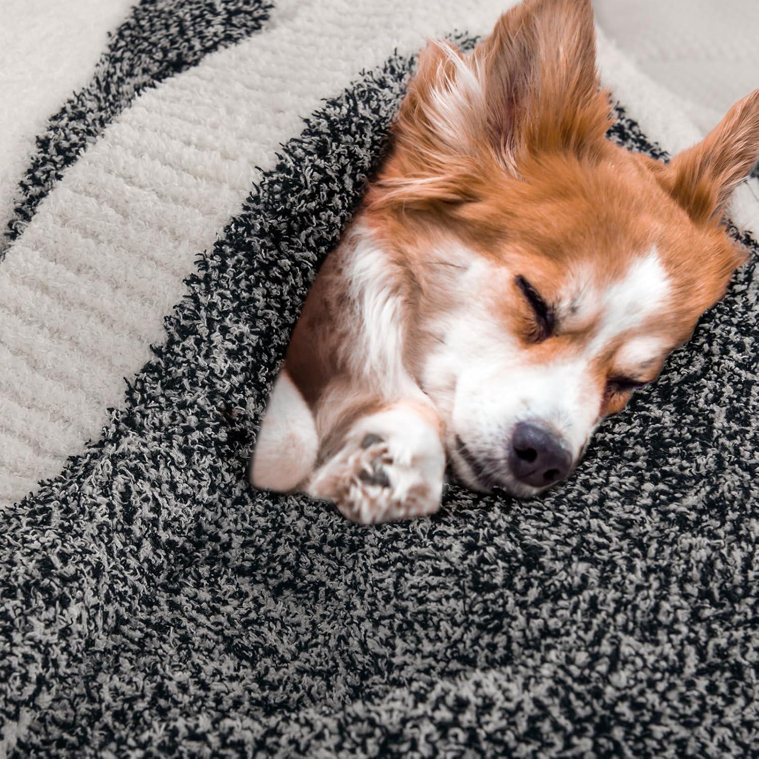 Manta Suave NEXHOME PRO Microfibra 127x152 cm Negra