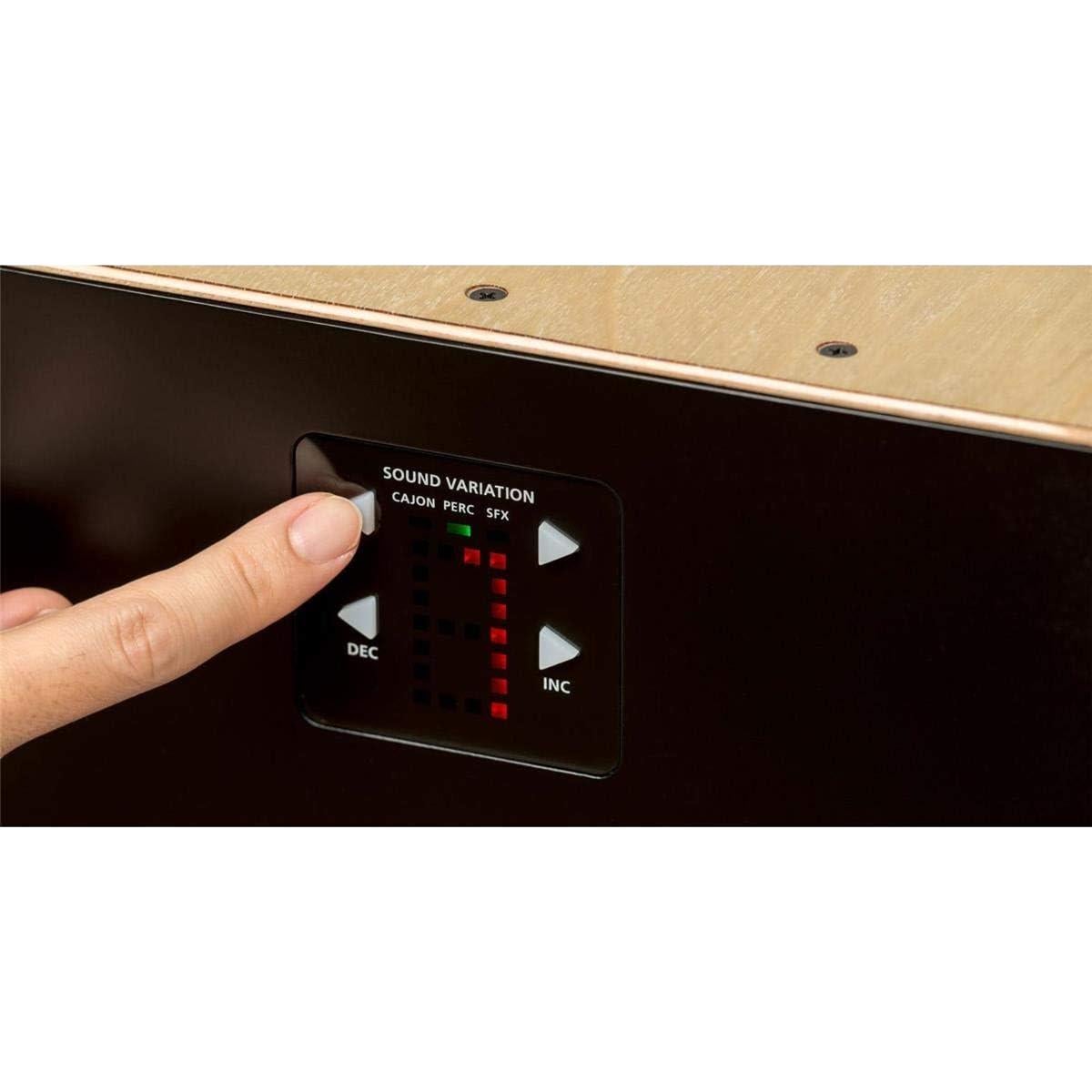 Cajón Electrónico Roland EC-10 Híbrido con Amplificador