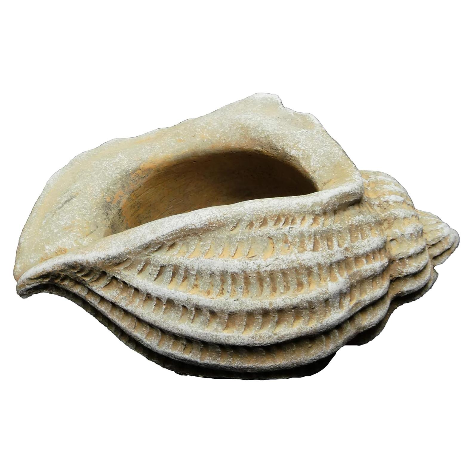 Maceta de Concreto Jagger Shell Classic Home 12.7x8.9x8 cm