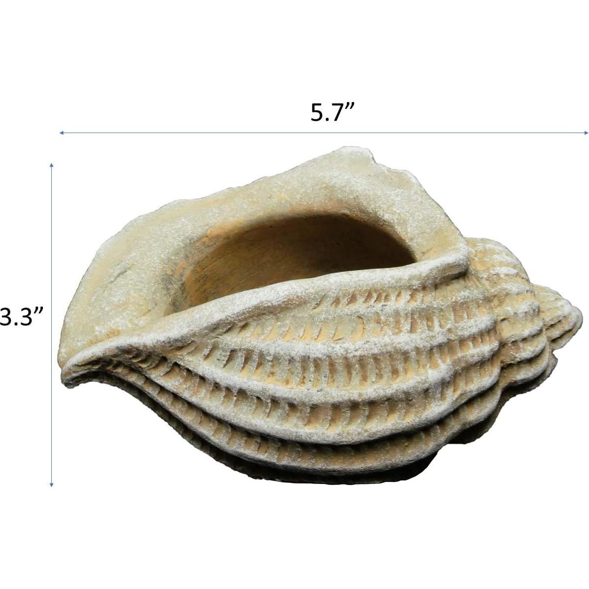 Maceta de Concreto Jagger Shell Classic Home 12.7x8.9x8 cm