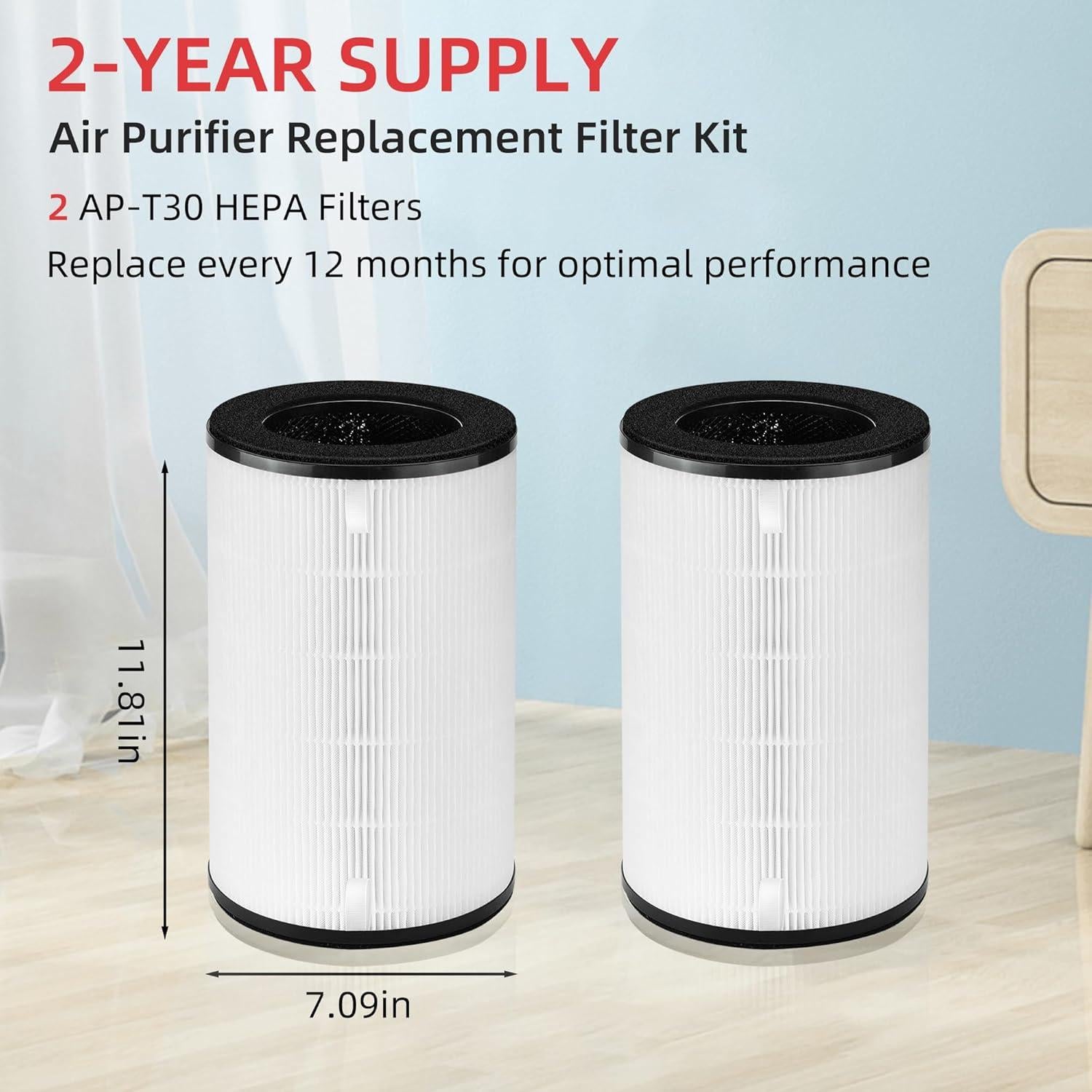 Filtro de Reemplazo AP-T30/AP-PET35 Homedics 2 Pack HEPA