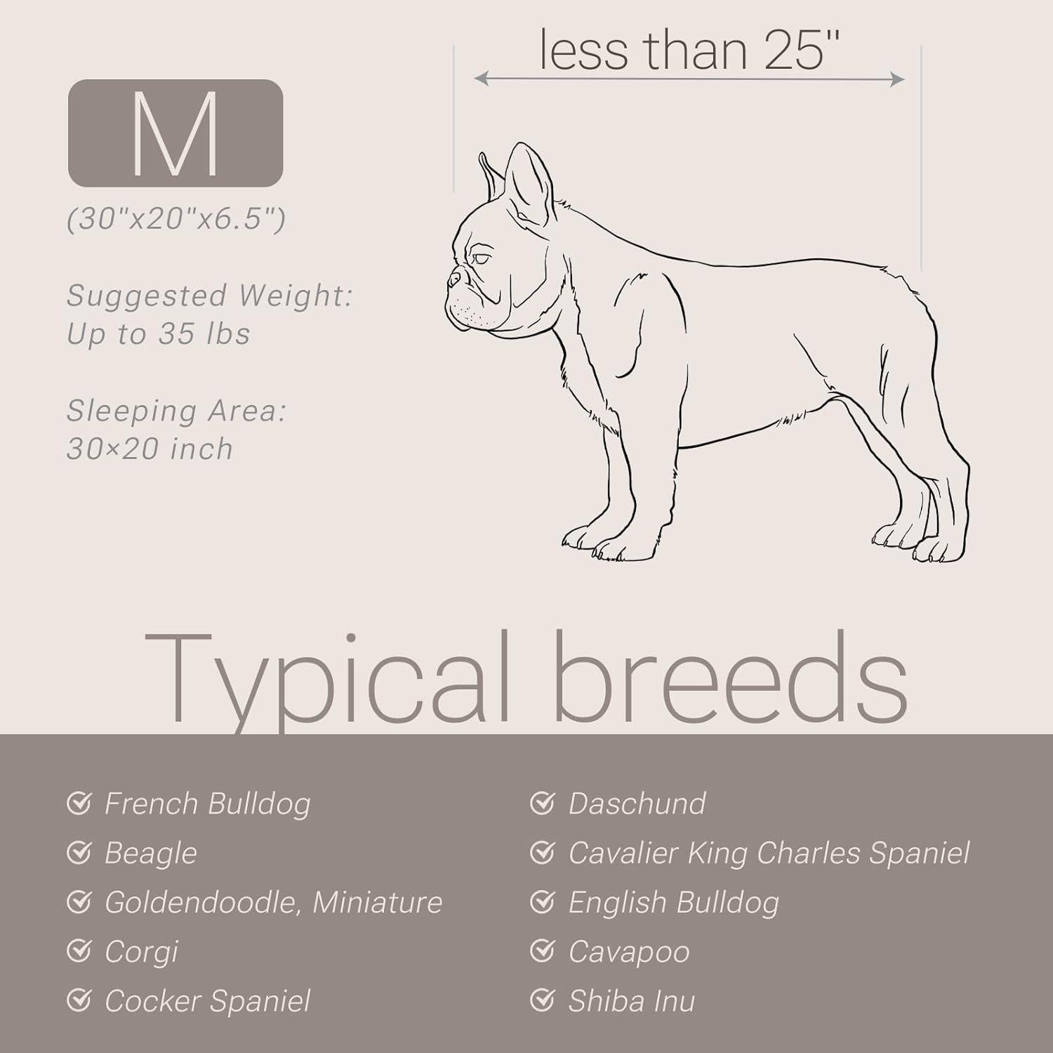 Cama Ortopédica para Perros Soft Touch Mediana 76.2x50.8cm Crema