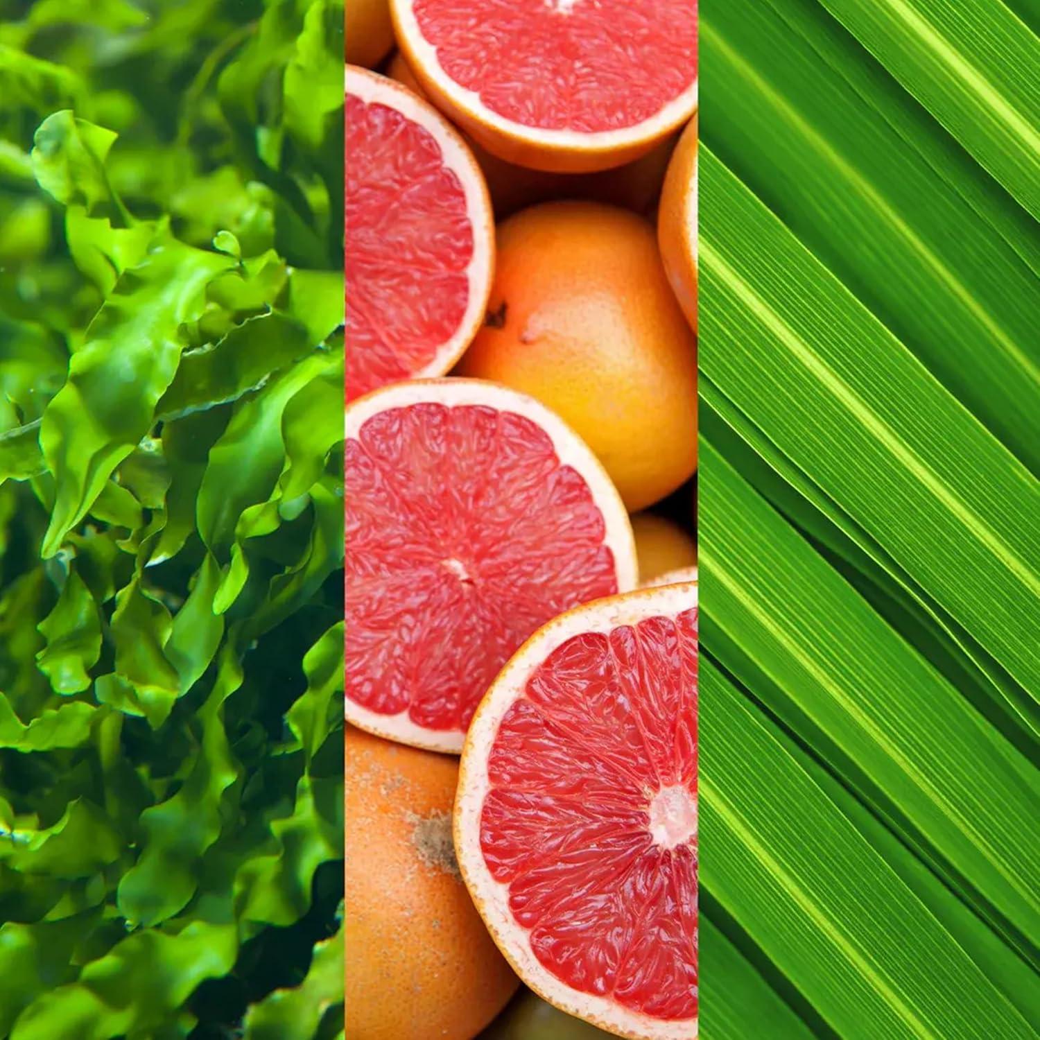 Tónico Facial Sin Alcohol Mario Badescu 236.6 ml Pomelo