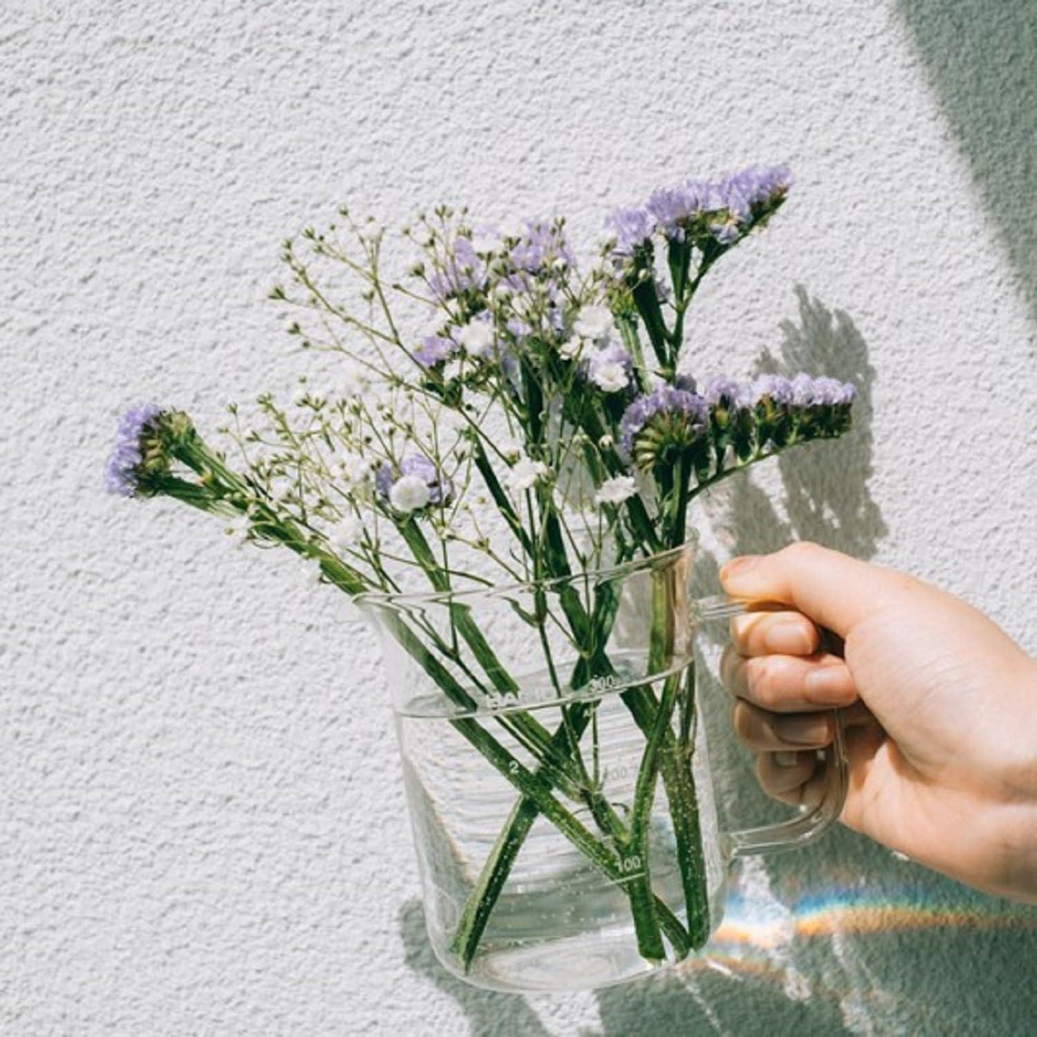 Servidor de Café Hario Beaker 300ml Vidrio Resistente