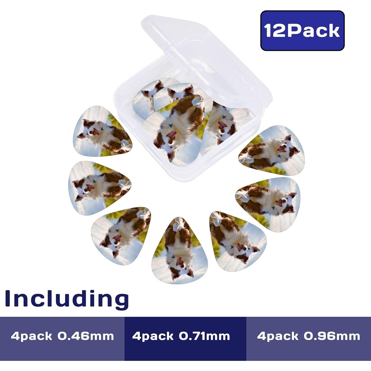 Paquete de 12 Púas de Guitarra Personalizadas CGP111 ABS