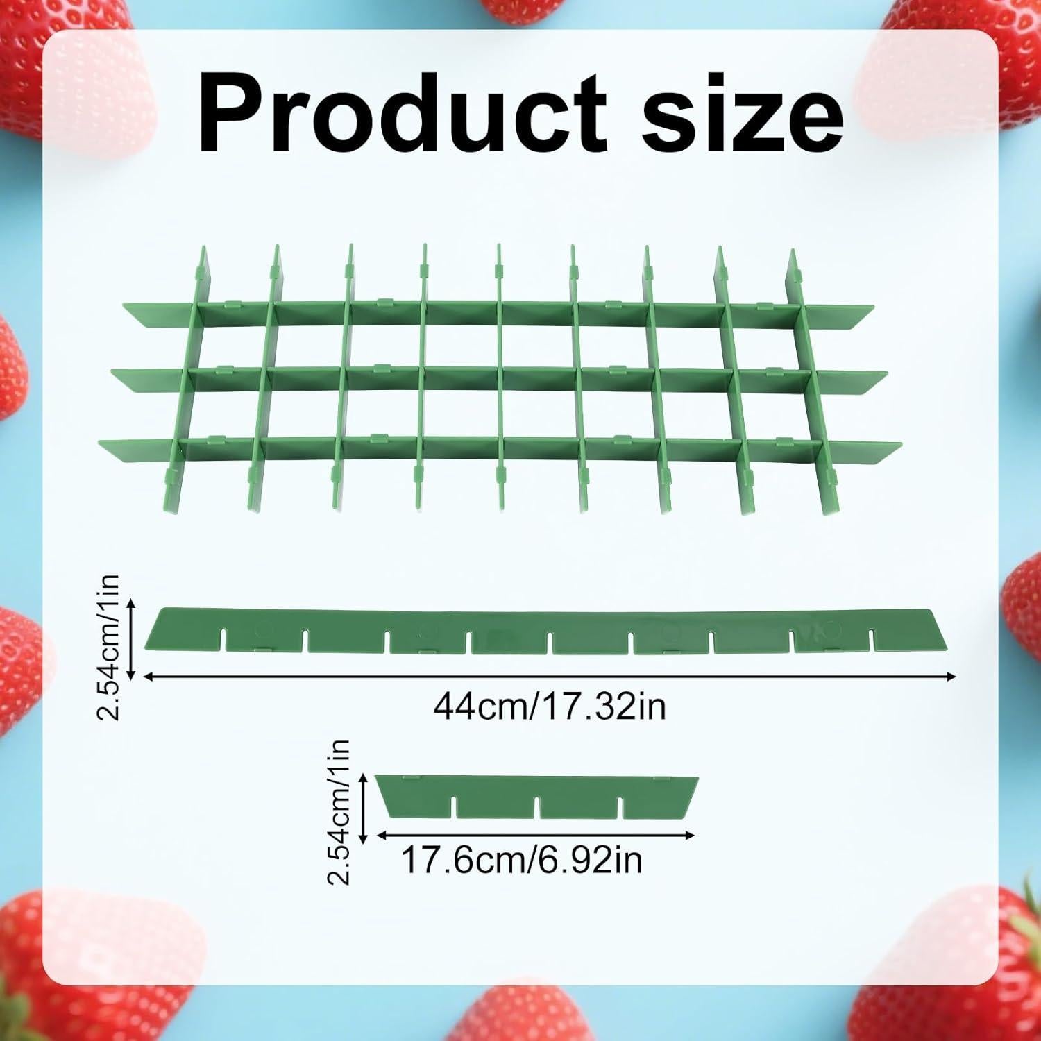 Divisores de Bandeja Mediana BOXOB para Deshidratador