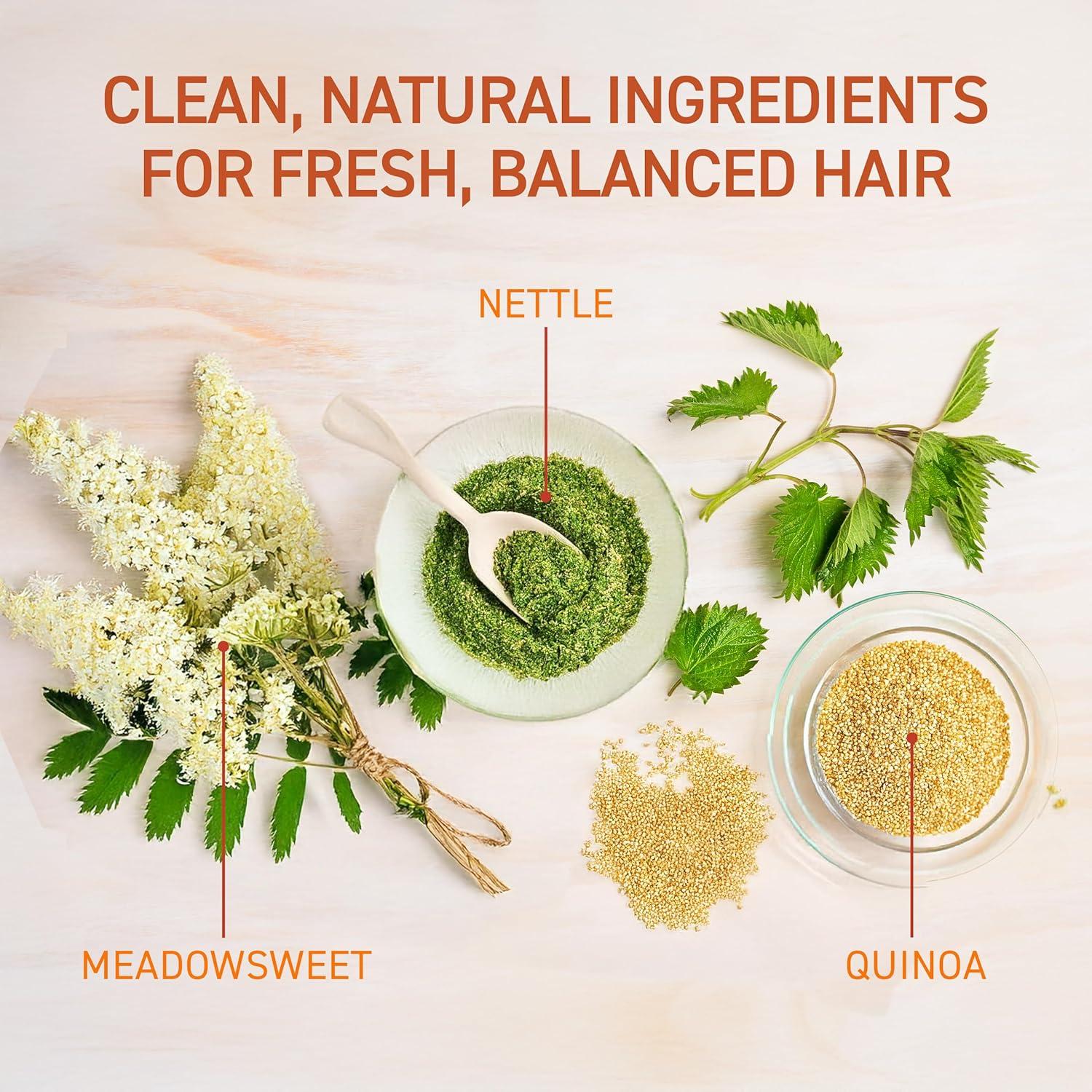 Champú Hidratante para Niños TBH - 340 g, Libre de Sulfatos