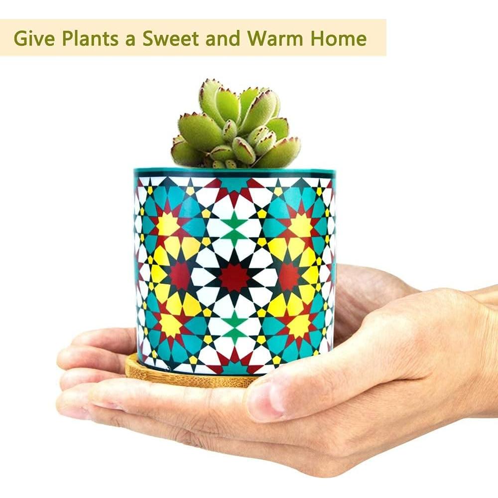 Paquete de 6 macetas de cerámica Mandala Ascrafter con bandejas