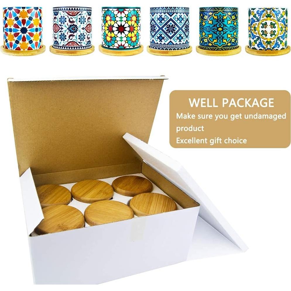 Paquete de 6 macetas de cerámica Mandala Ascrafter con bandejas