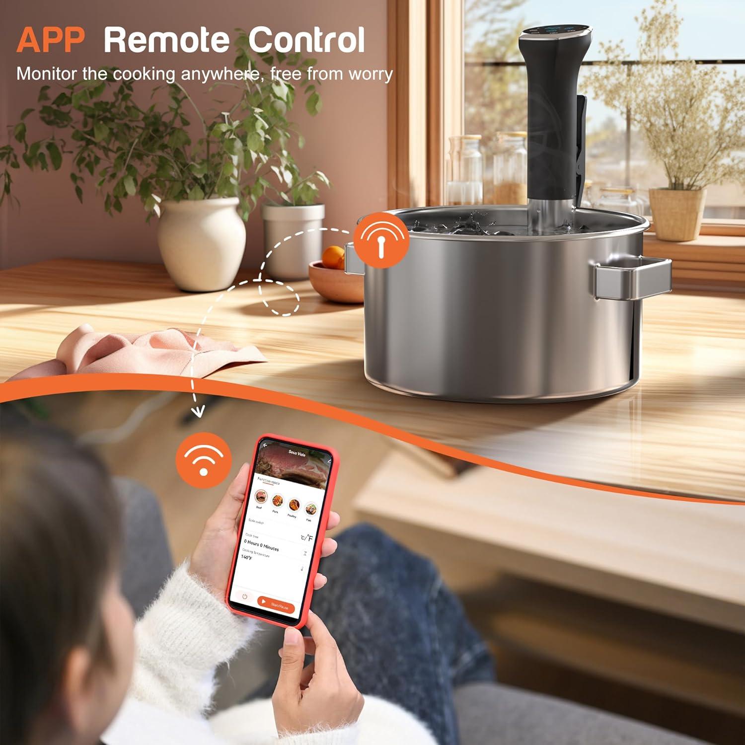 Hobsir Sous Vide 1100W con App Wifi y Temporizador - Acero Inoxidable