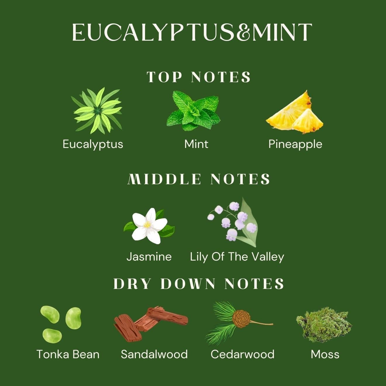 Vela Aromática M&SENSE Eucalipto y Menta 300g - 60 Horas