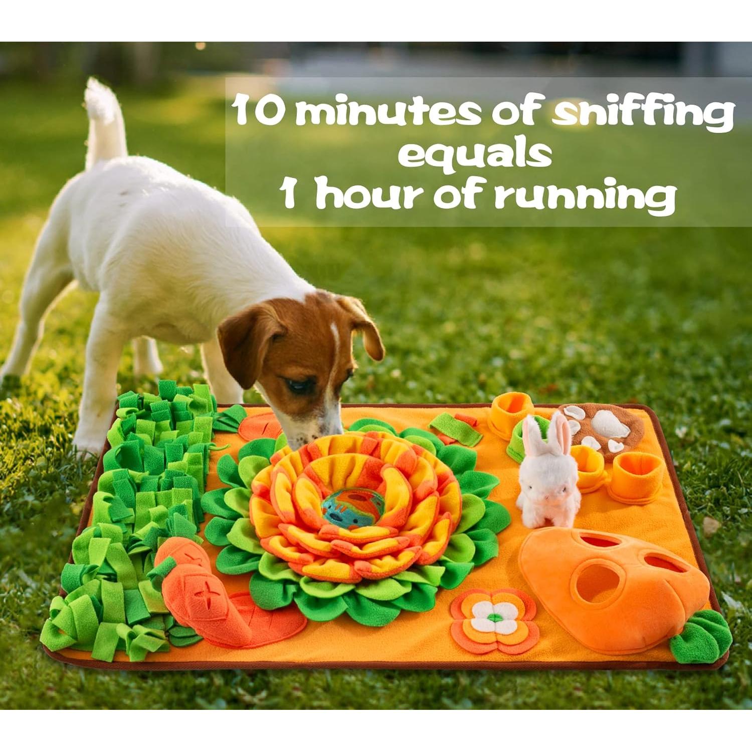 Alfombra de Olfateo para Perros ZMUBB 78.74x48.26cm