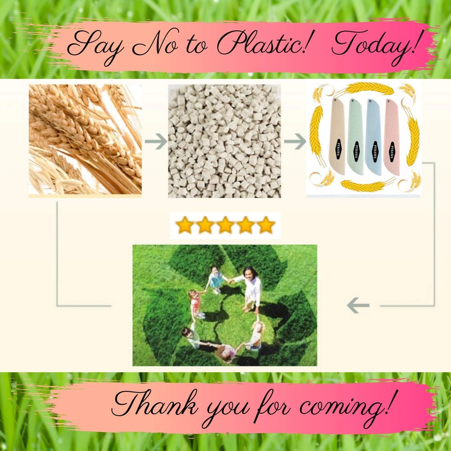 Popotes de Vidrio Reutilizables PYRAWS con Caja de Paja 20 cm