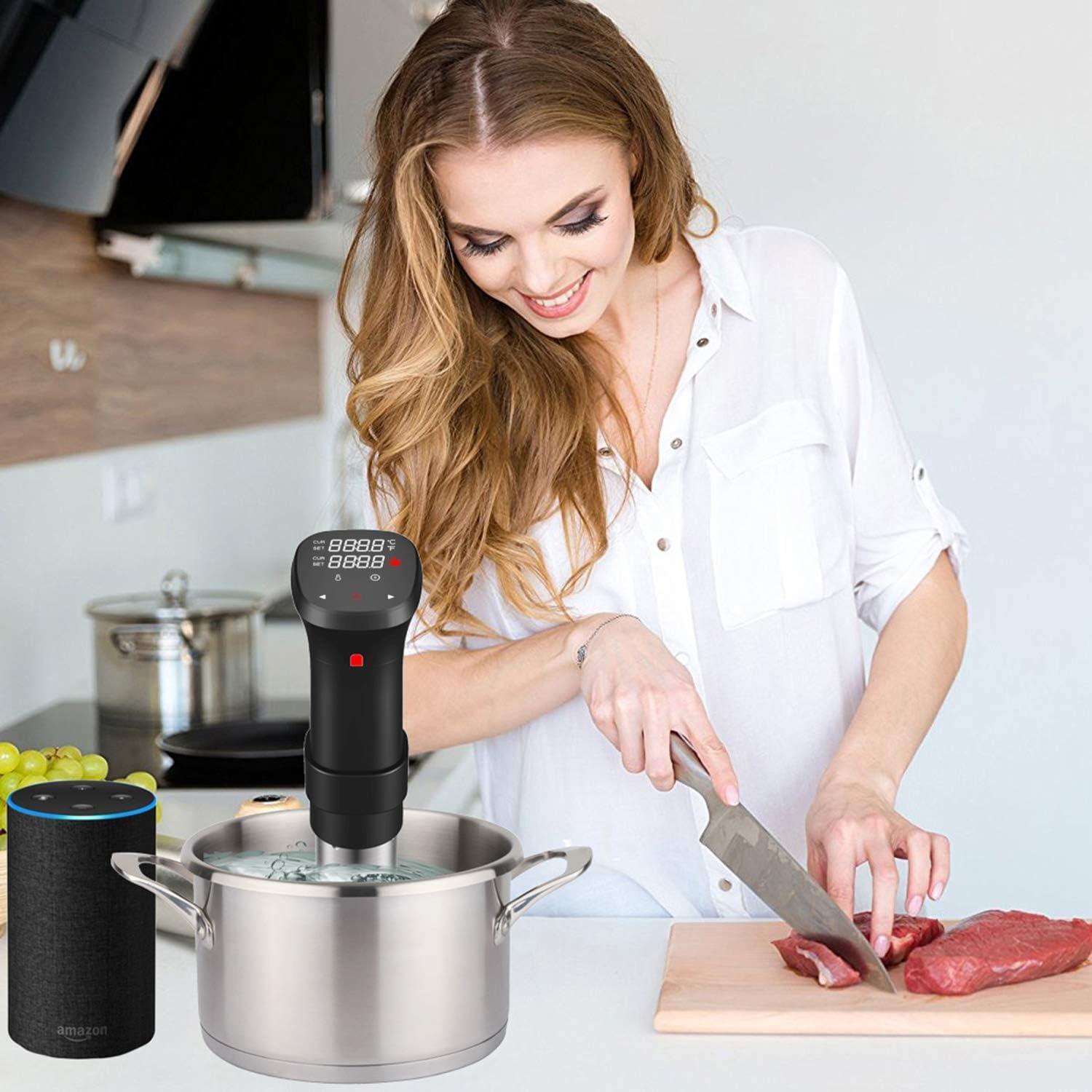 Fityou Sous Vide Cooker 1100W Acero Inoxidable Preciso