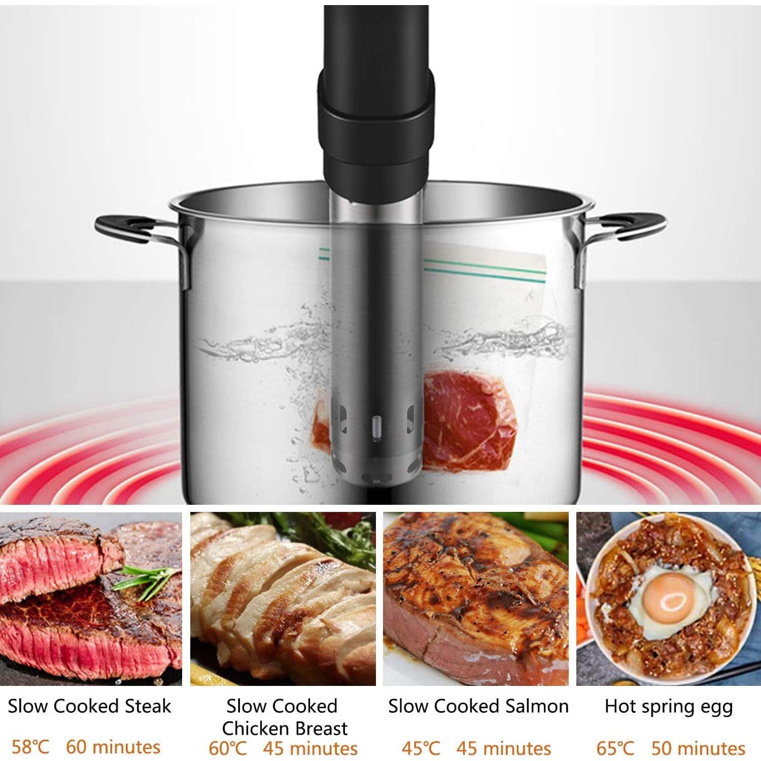 Fityou Sous Vide Cooker 1100W Acero Inoxidable Preciso