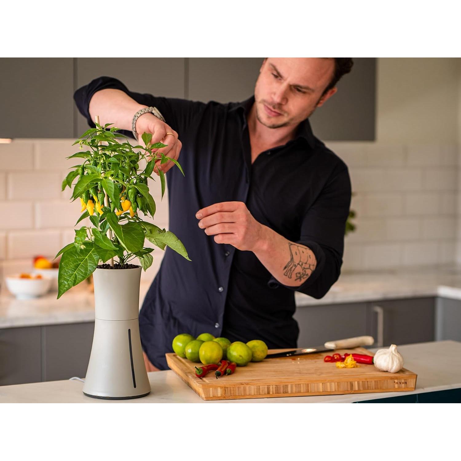 Maceta Hidropónica Automática Botanium Gris 0.95L