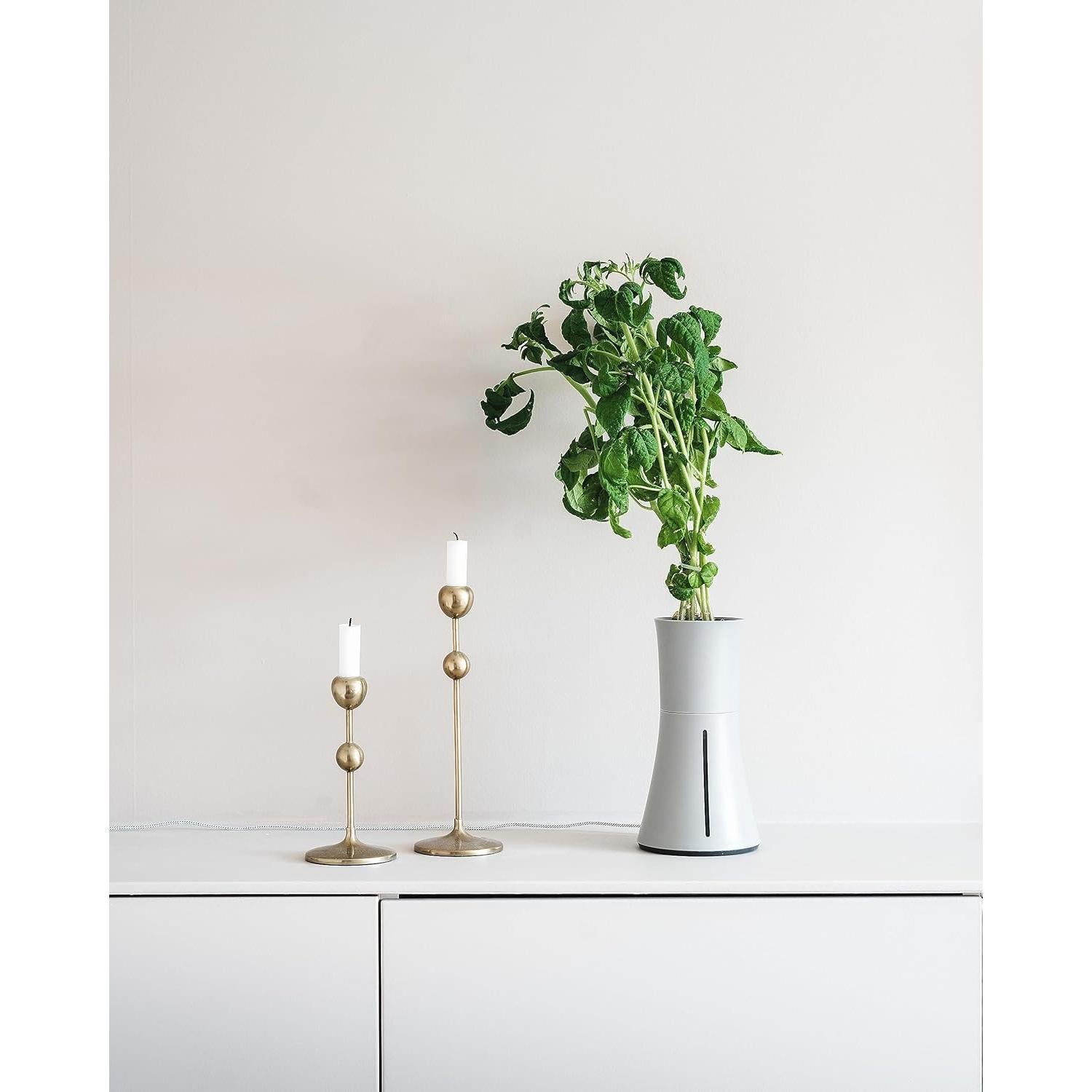 Maceta Hidropónica Automática Botanium Gris 0.95L