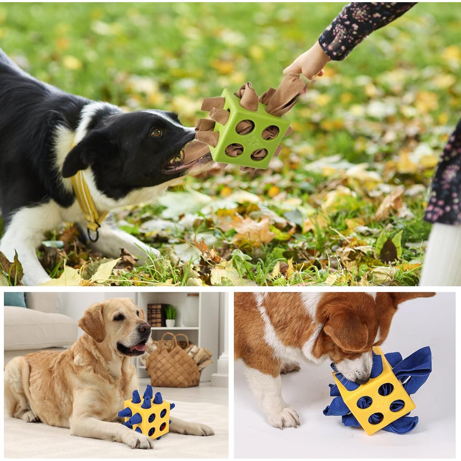 Juguete de Olfateo Interactivo Fossa para Perros Pequeños y Medianos