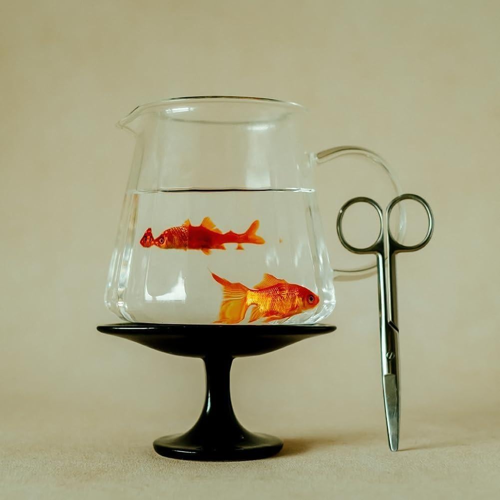 Jarra de Café de Vidrio WATCHGET 500ml - Servidor Resistente al Calor