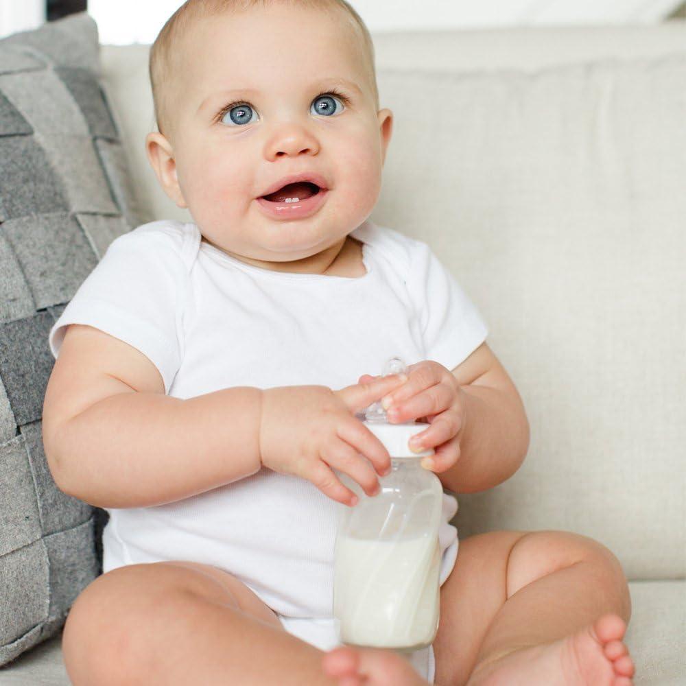 Botella de vidrio Evenflo Feeding 240 ml, paquete de 6