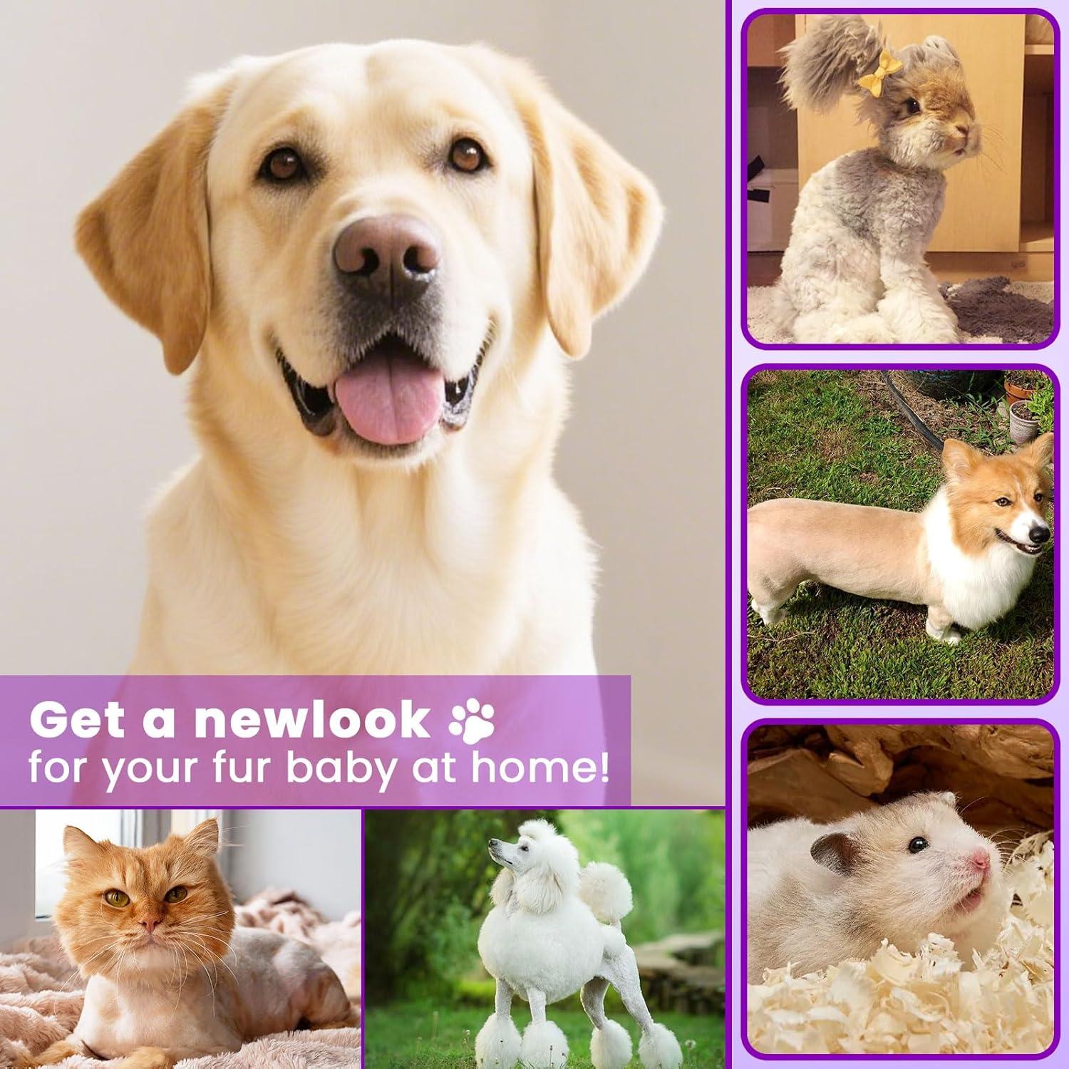 Recortador de patas de perro Veeconn T6 4 en 1 impermeable