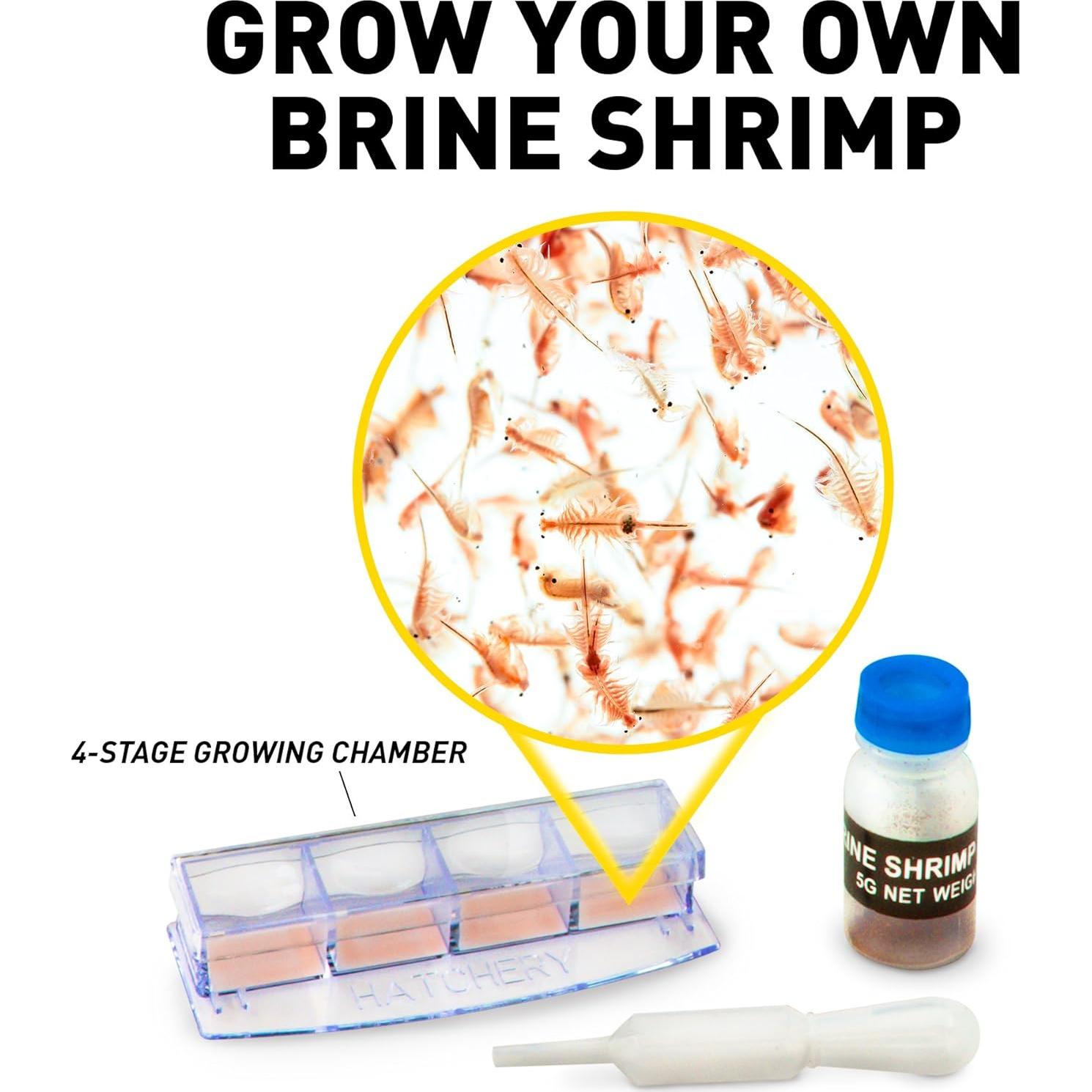 Microscopio Doble LED National Geographic con 50 Accesorios