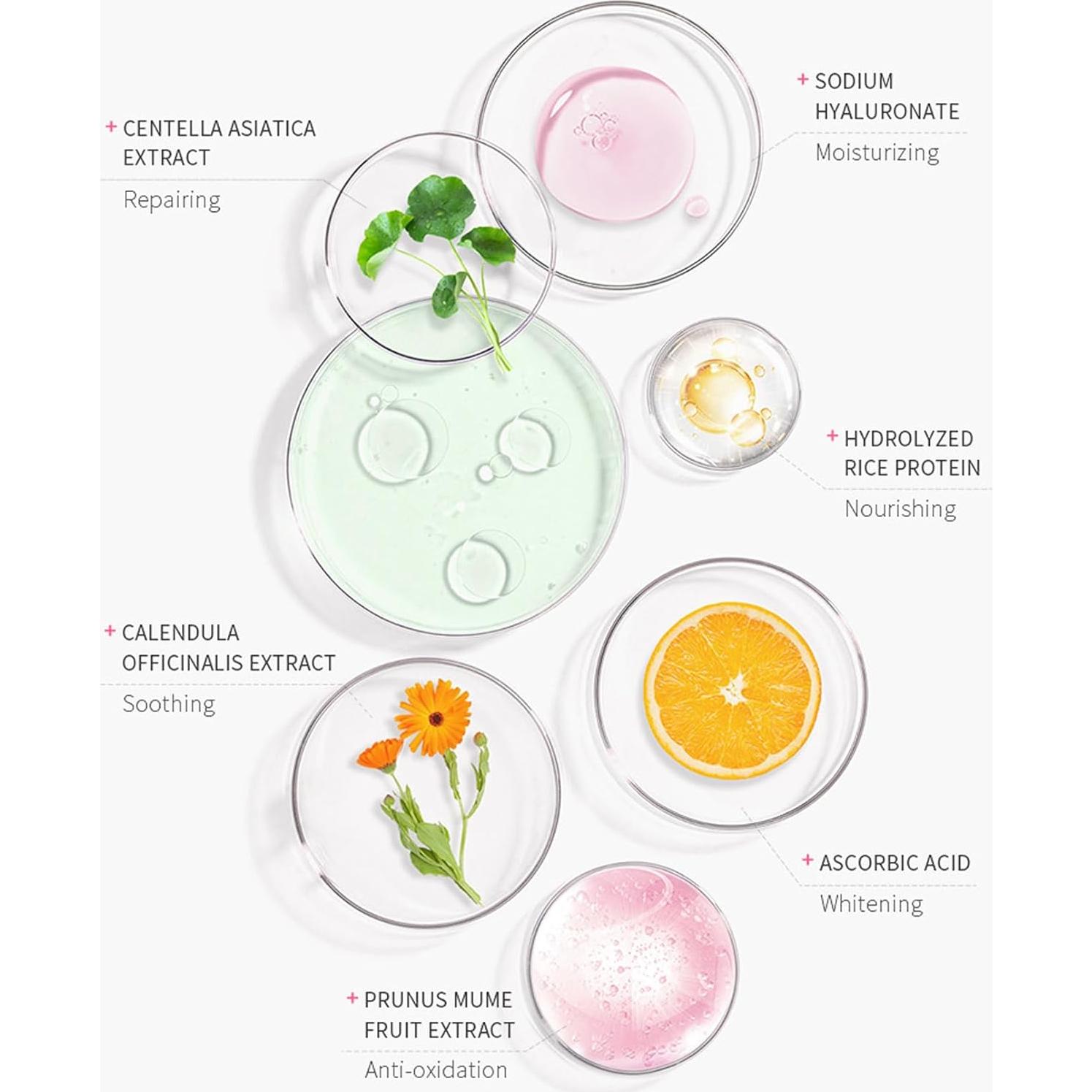 Protector Solar Facial Japan Sakura SPF 50 PA+++ 50g