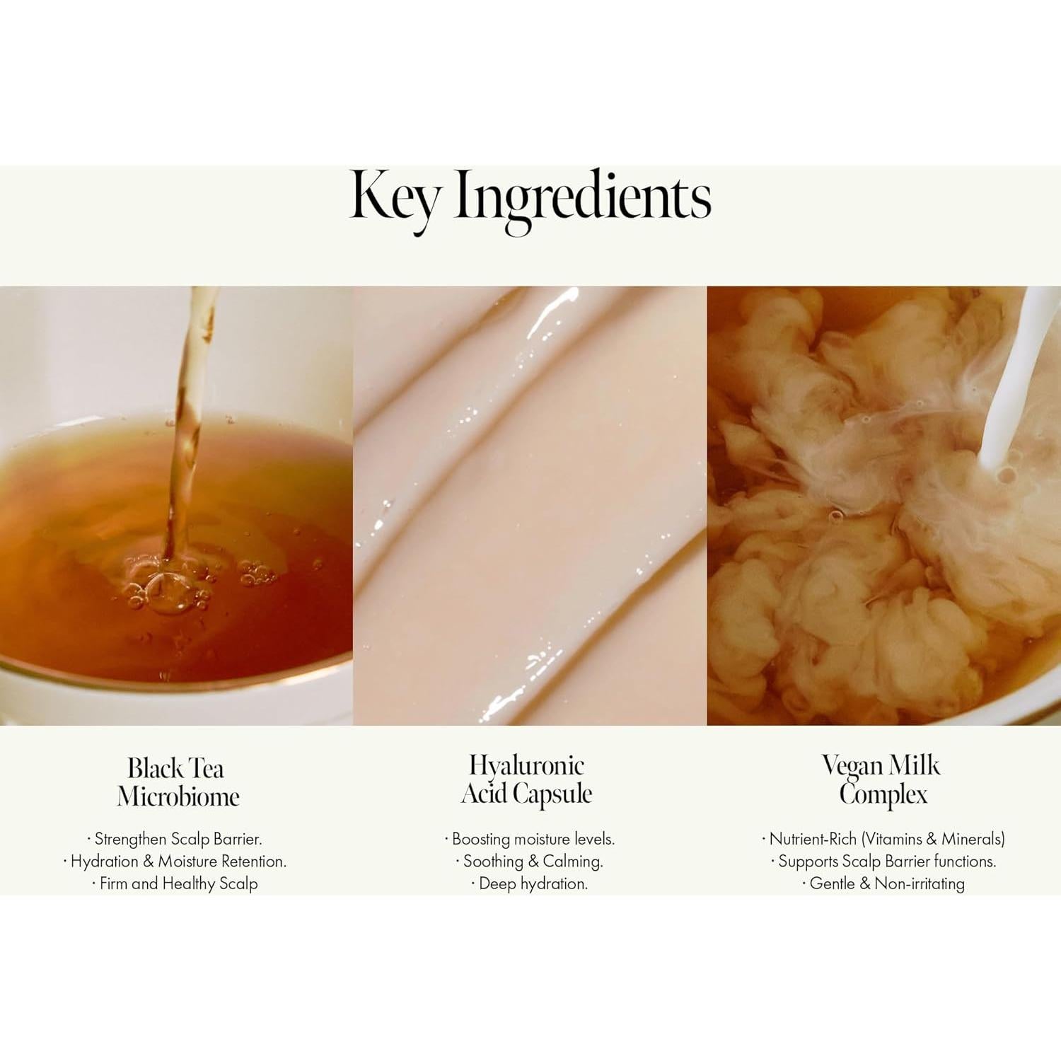 Champú Vegano Nutritivo Té Negro 450ml - Hidratación y Fortalecimiento