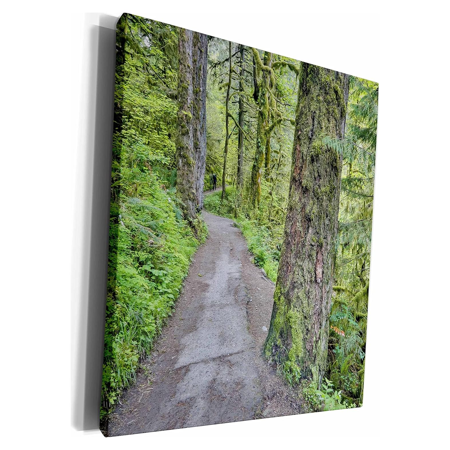 Lienzo Premium 3dRose Cascadas Elwha 50.8x40.6 cm