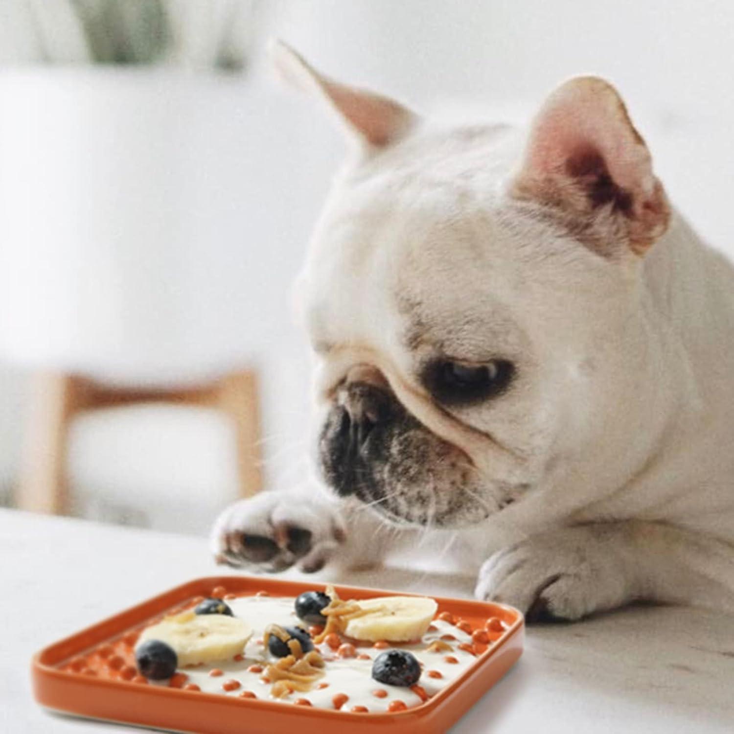 Alimentador Lento Cerámico LE TAUCI PET 13.97 cm Set 2 Azul Naranja