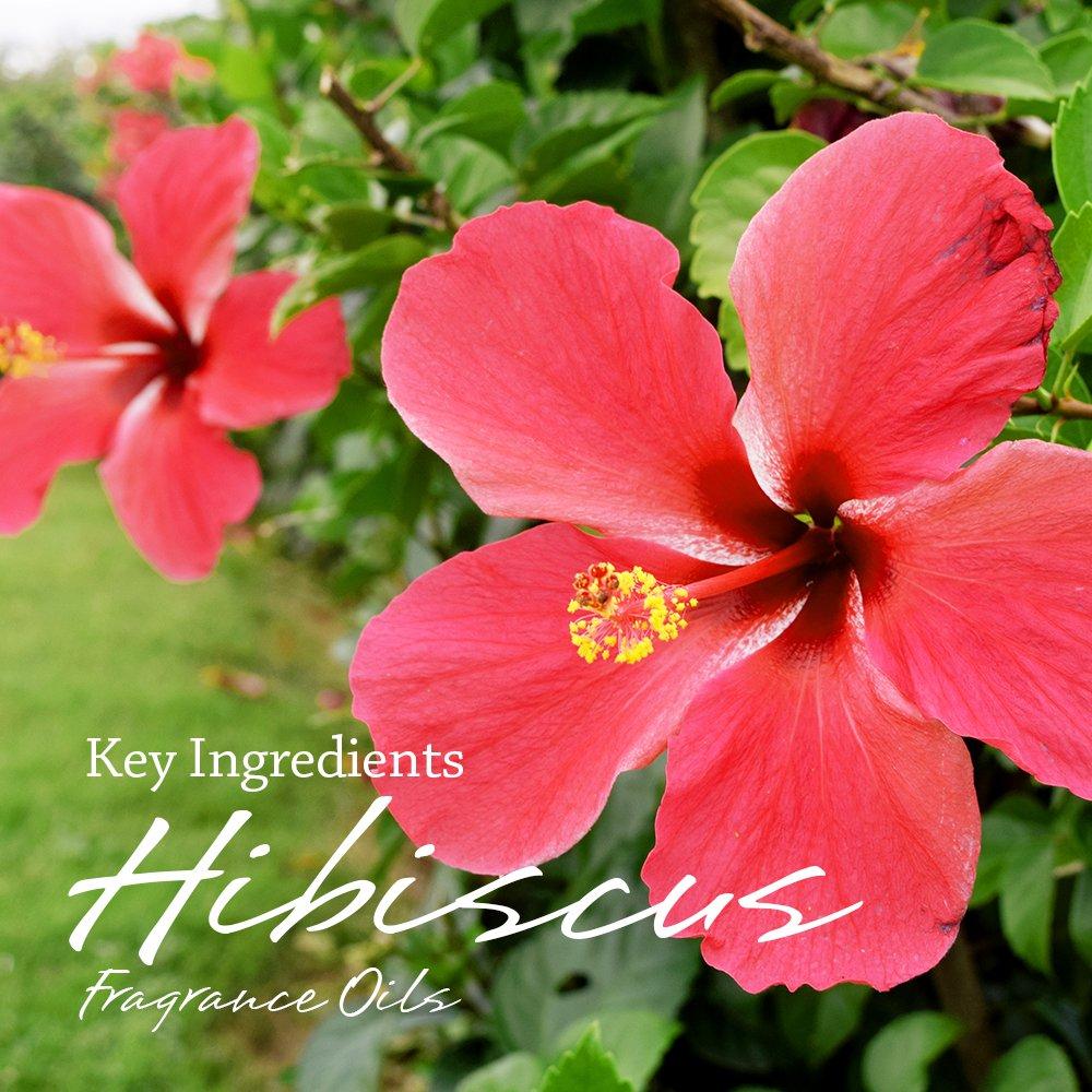 Set de Jabones Naturales I & Jabón - 4 Piezas Hecho a Mano