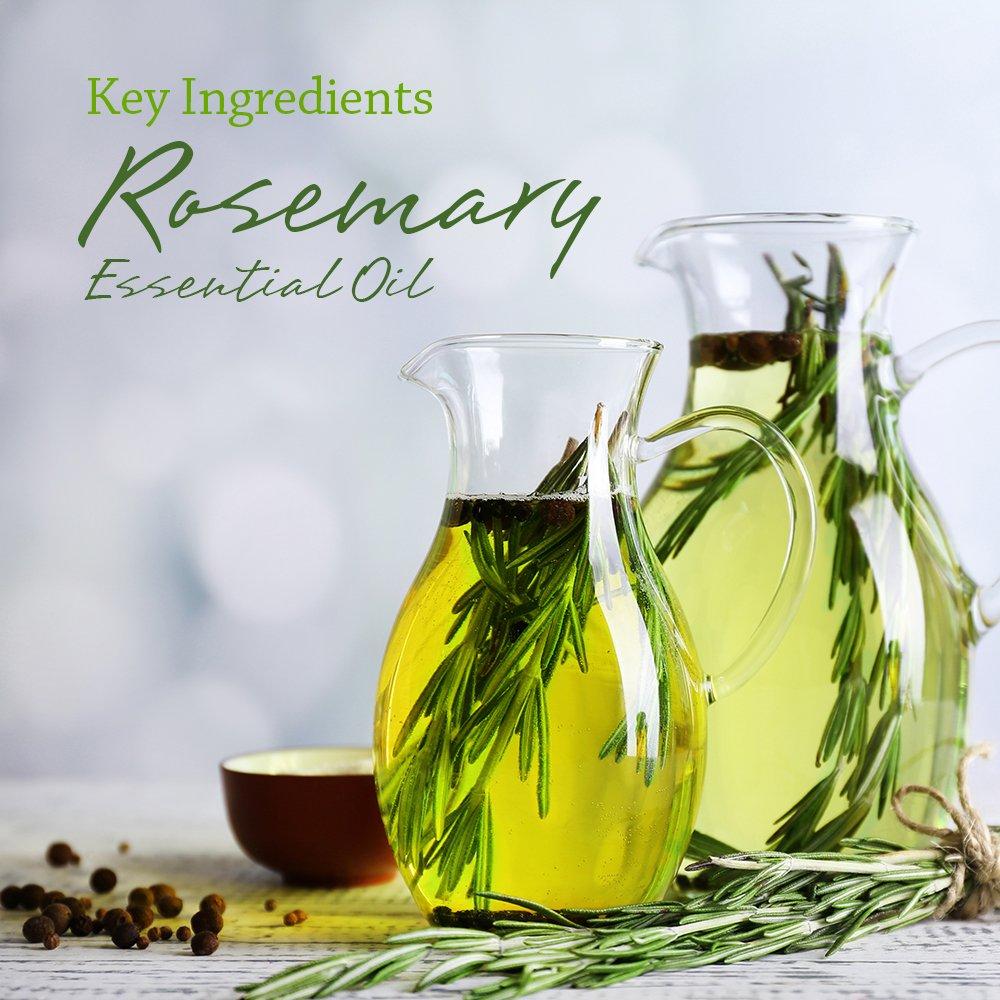 Set de Jabones Naturales I & Jabón - 4 Piezas Hecho a Mano