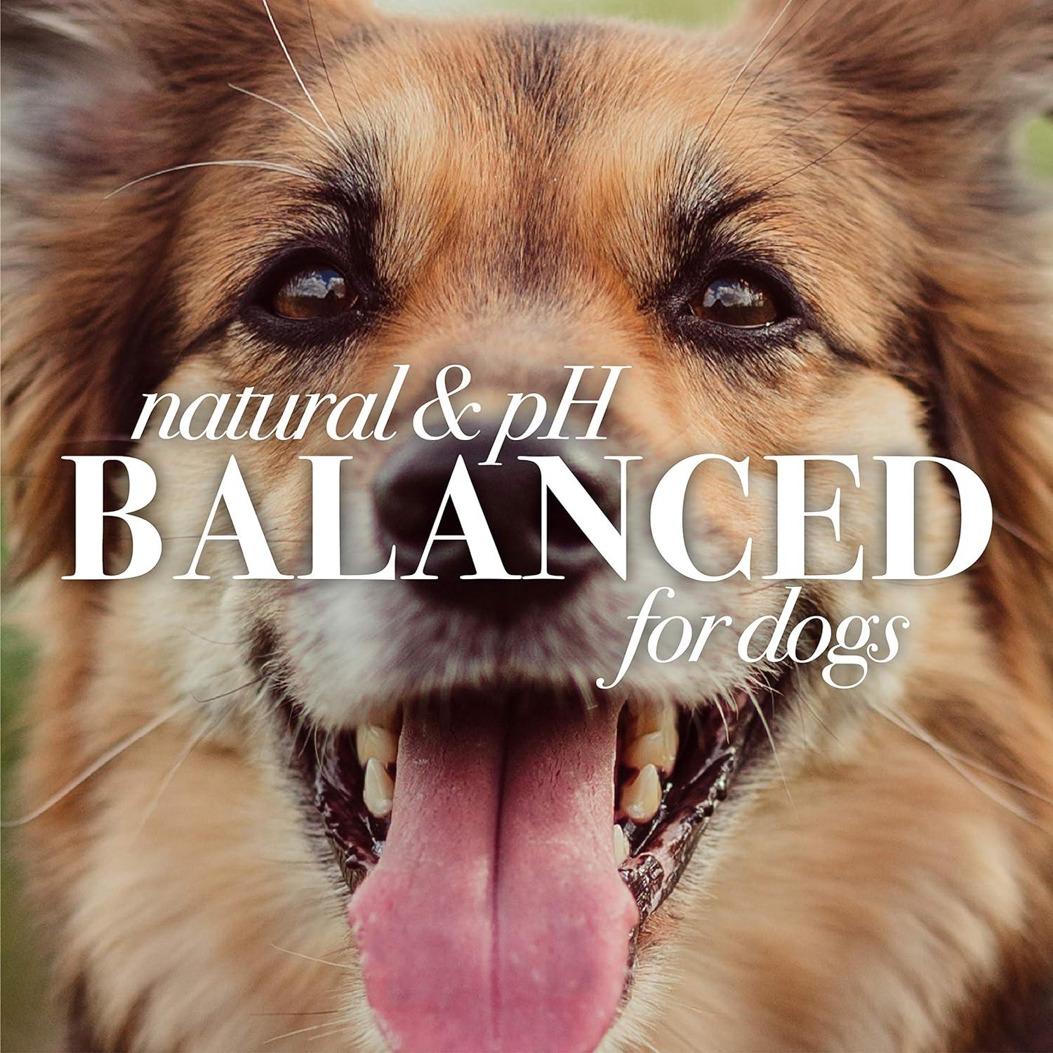 Limpiador de Oídos para Perros Burt's Bees 118 ml Natural