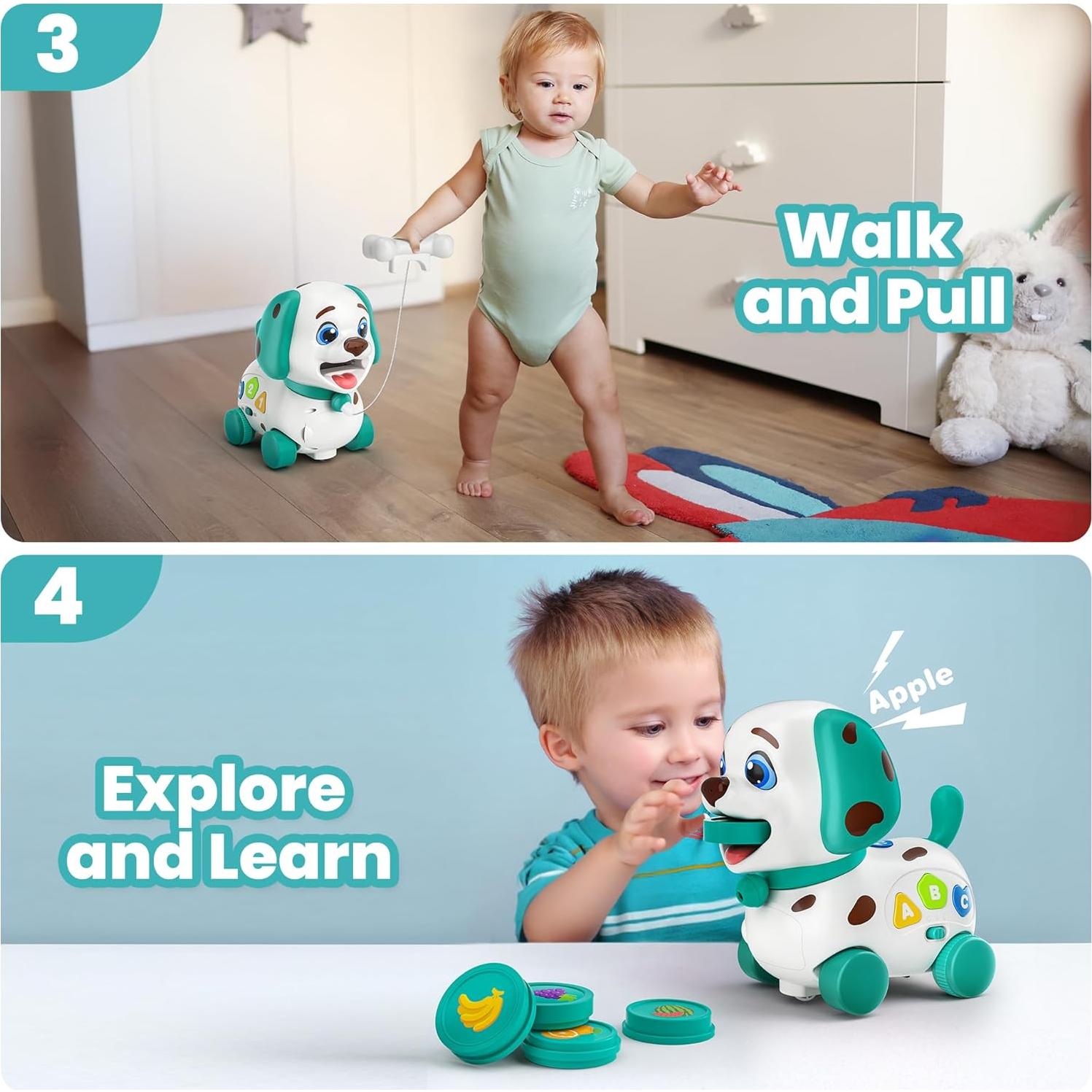 Juguete Musical Educativo HYC Cachorro Verde 4 en 1