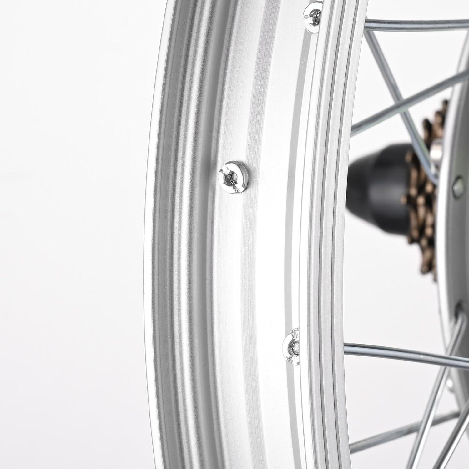 Kit de Conversión Motor Eléctrico AW 750W 36V Rueda 20"