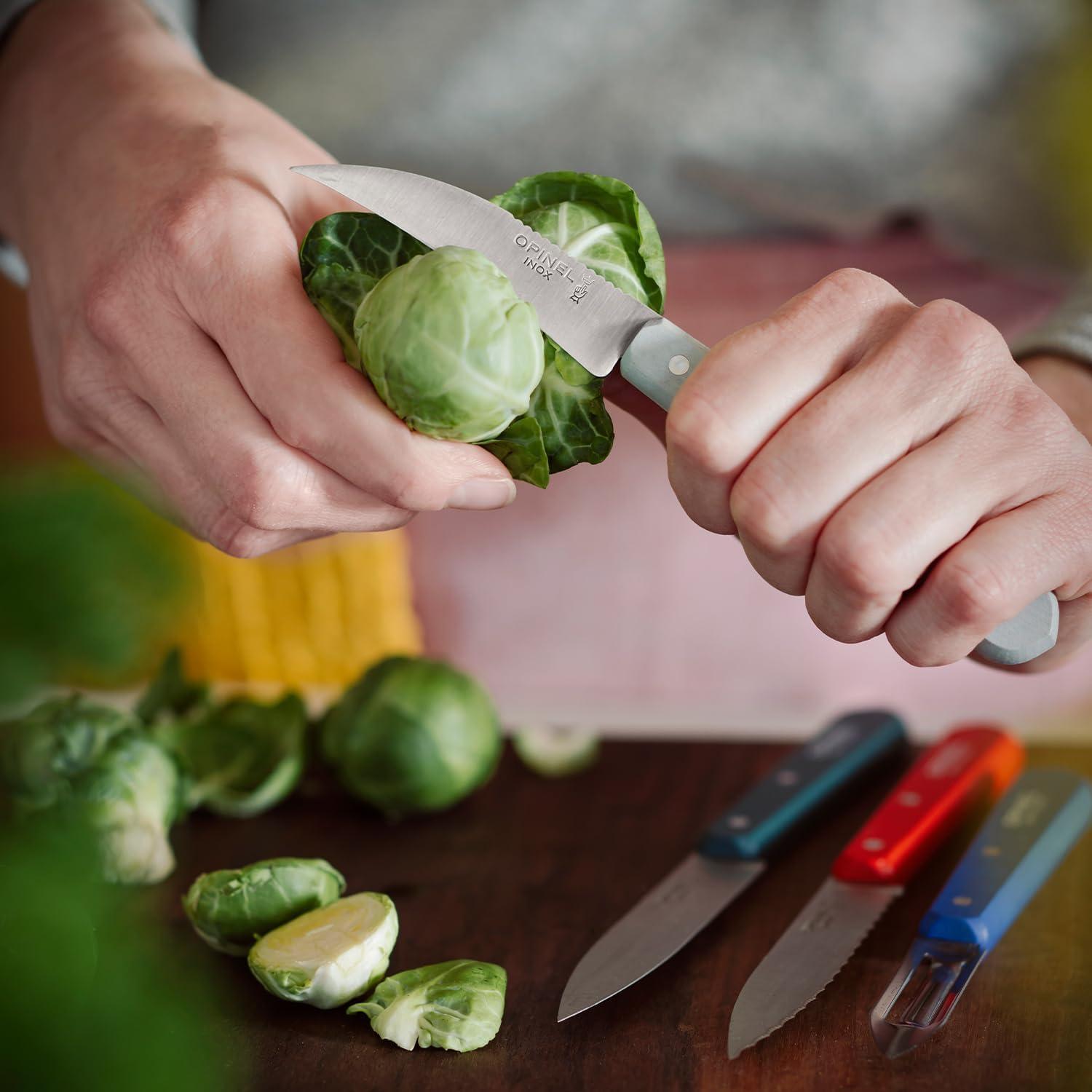 Juego de cuchillos de cocina OPINEL Les Essentials 4 piezas