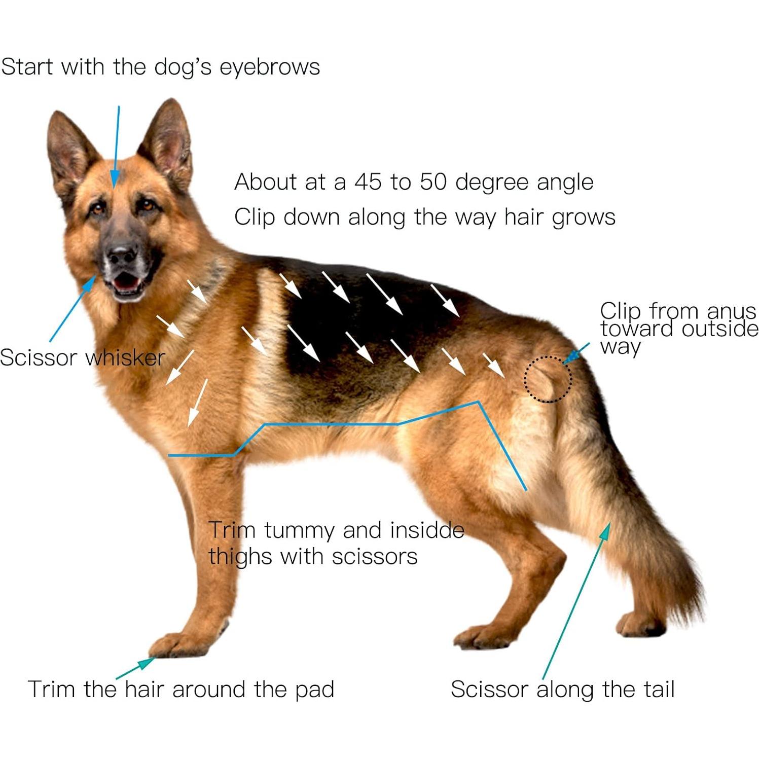 Recortadora de Pelo Inalámbrica JiangWaveT para Perros y Gatos