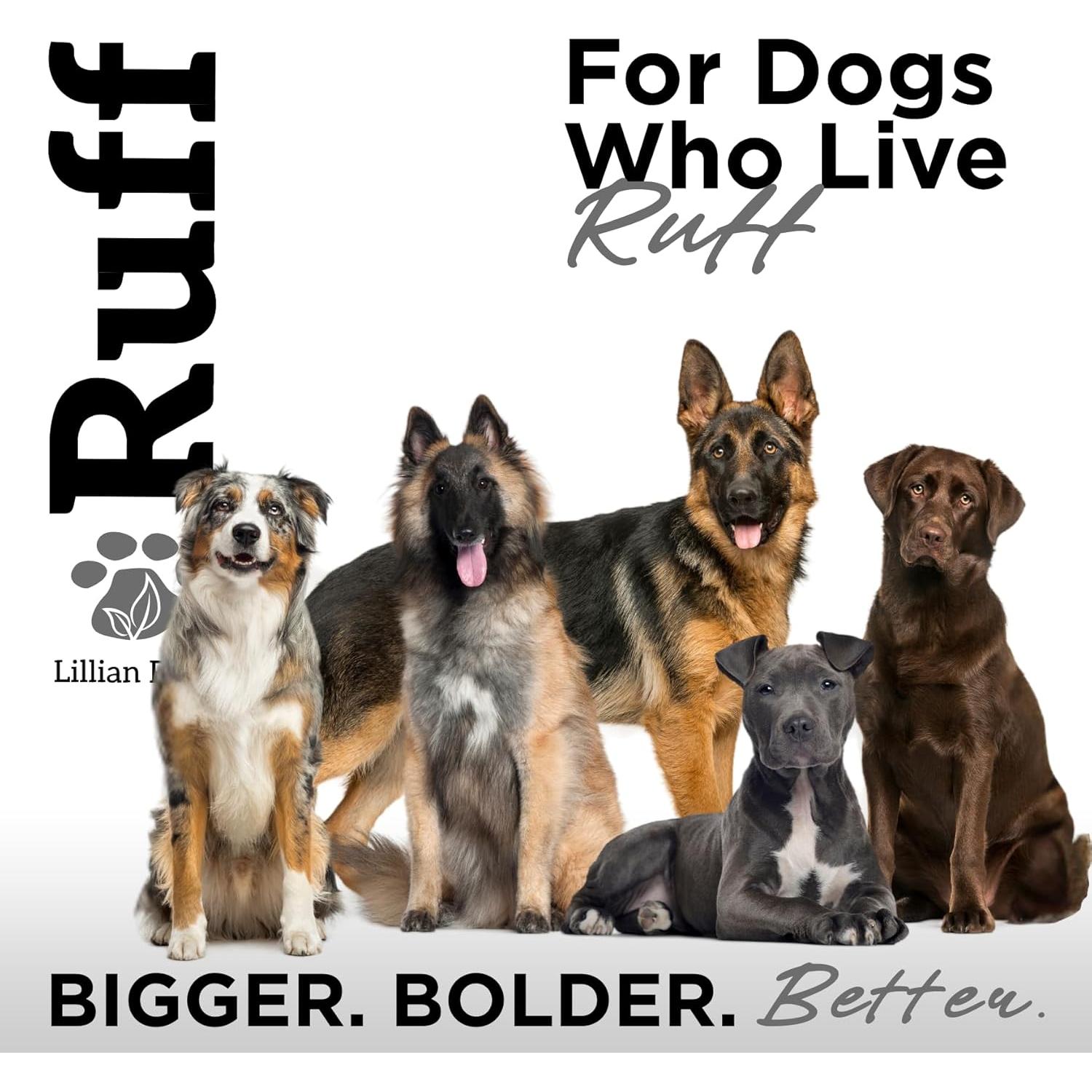 Champú para Mascotas Lillian Ruff 473ml Carbón Activado