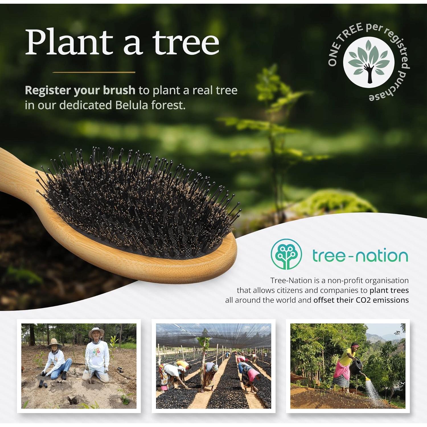 Cepillo de Cerdas de Jabalí Belula para Cabello Grueso 27.5cm