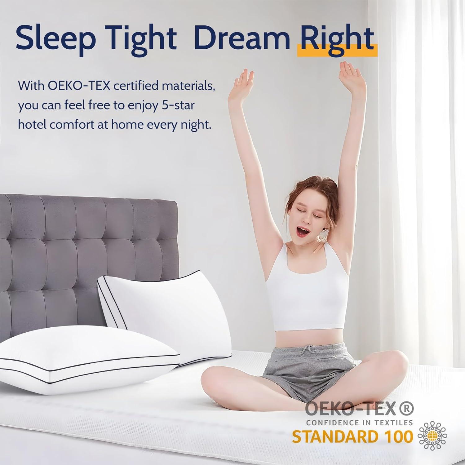 Juego de 2 Almohadas Estándar ROUMEA Microfibra Transpirables