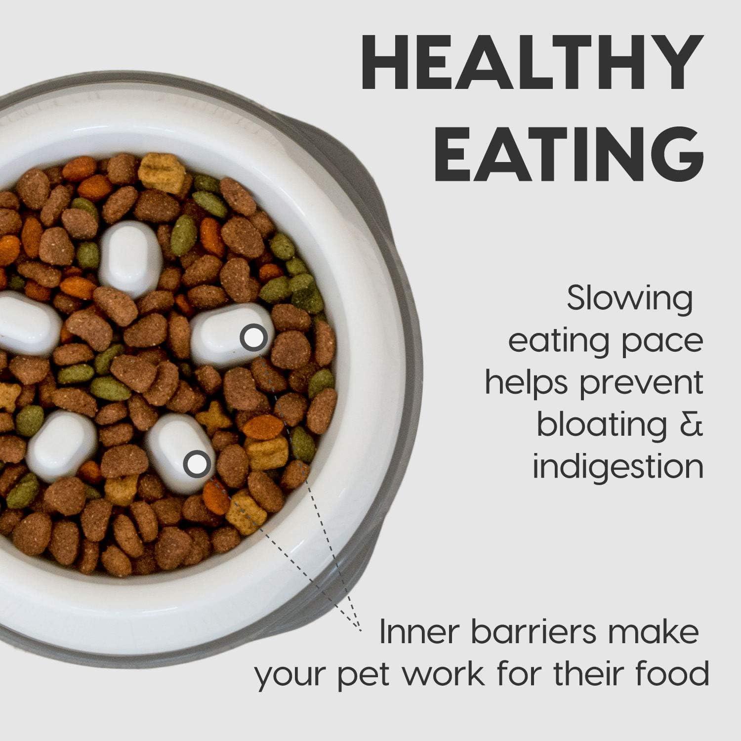 Tazón Antiahogo IRIS USA 2 Tazas Beige/Negro para Perros