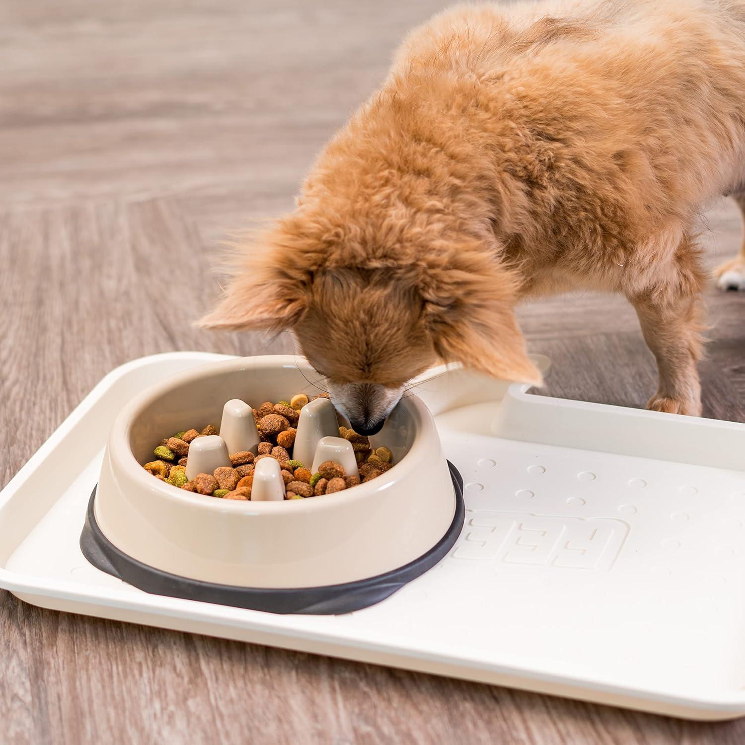 Tazón Antiahogo IRIS USA 2 Tazas Beige/Negro para Perros