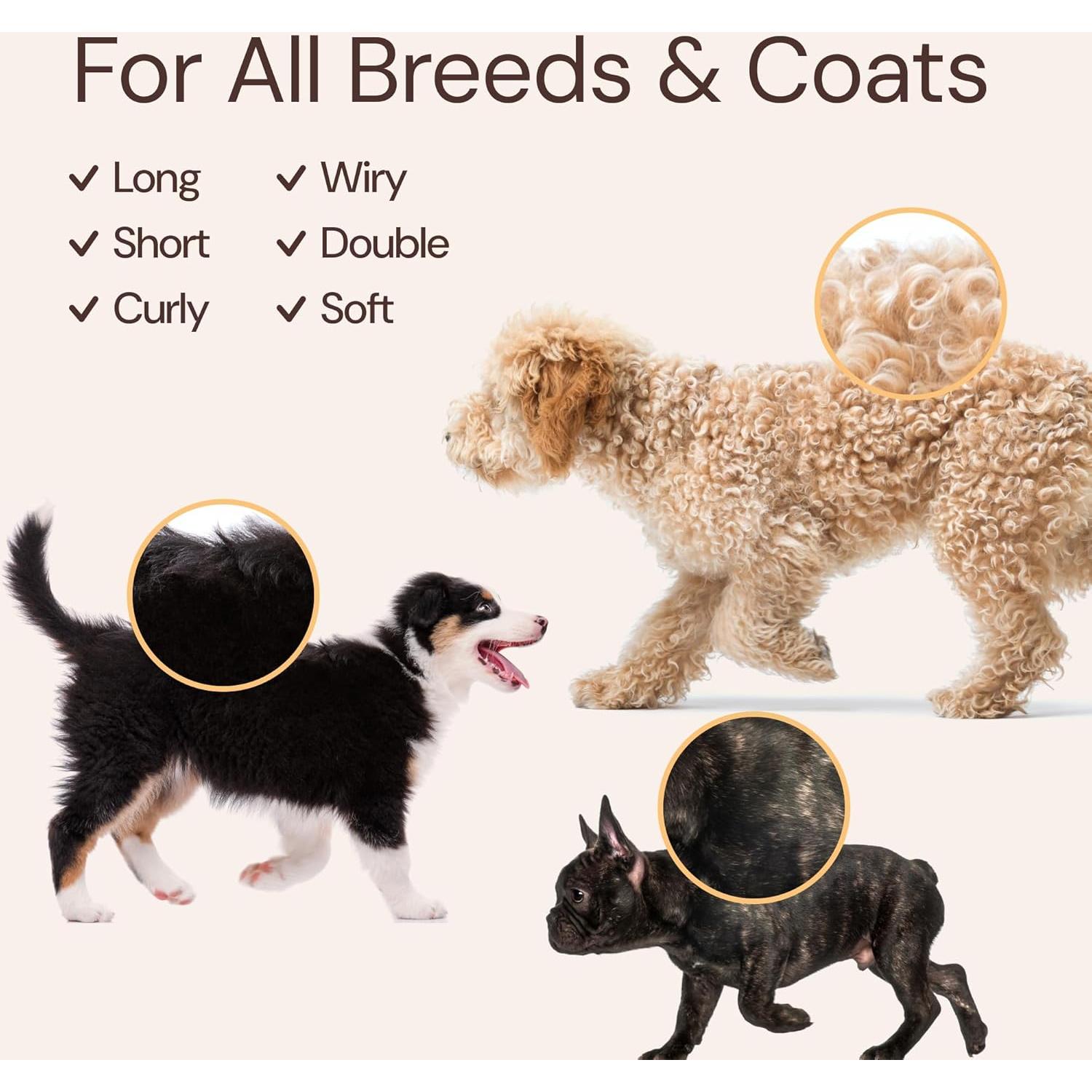 Kit de Aseo para Perros Sunny & Honey - Champú Coco 473ml