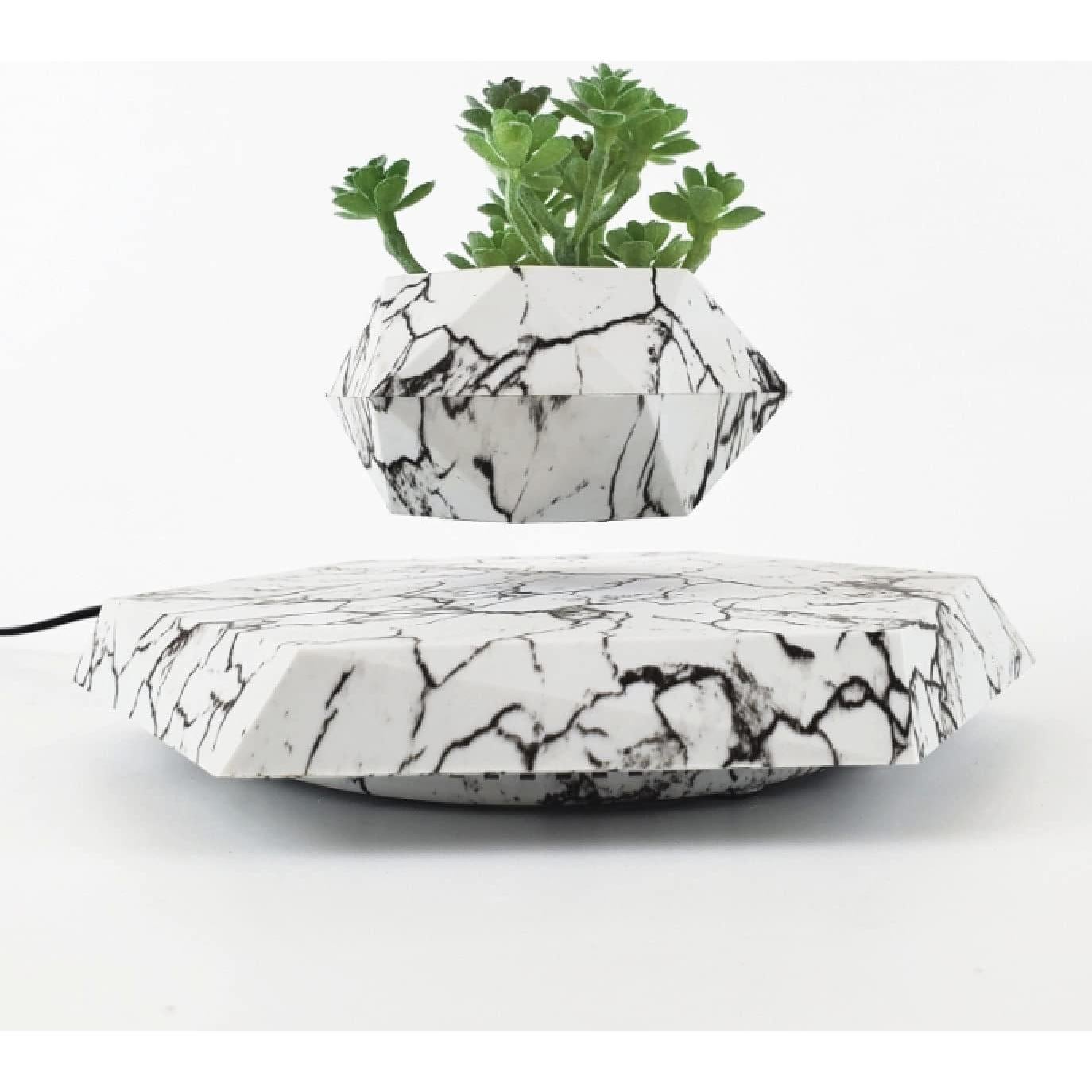 Maceta Flotante KIYOMING para Bonsai 9 cm Moderno