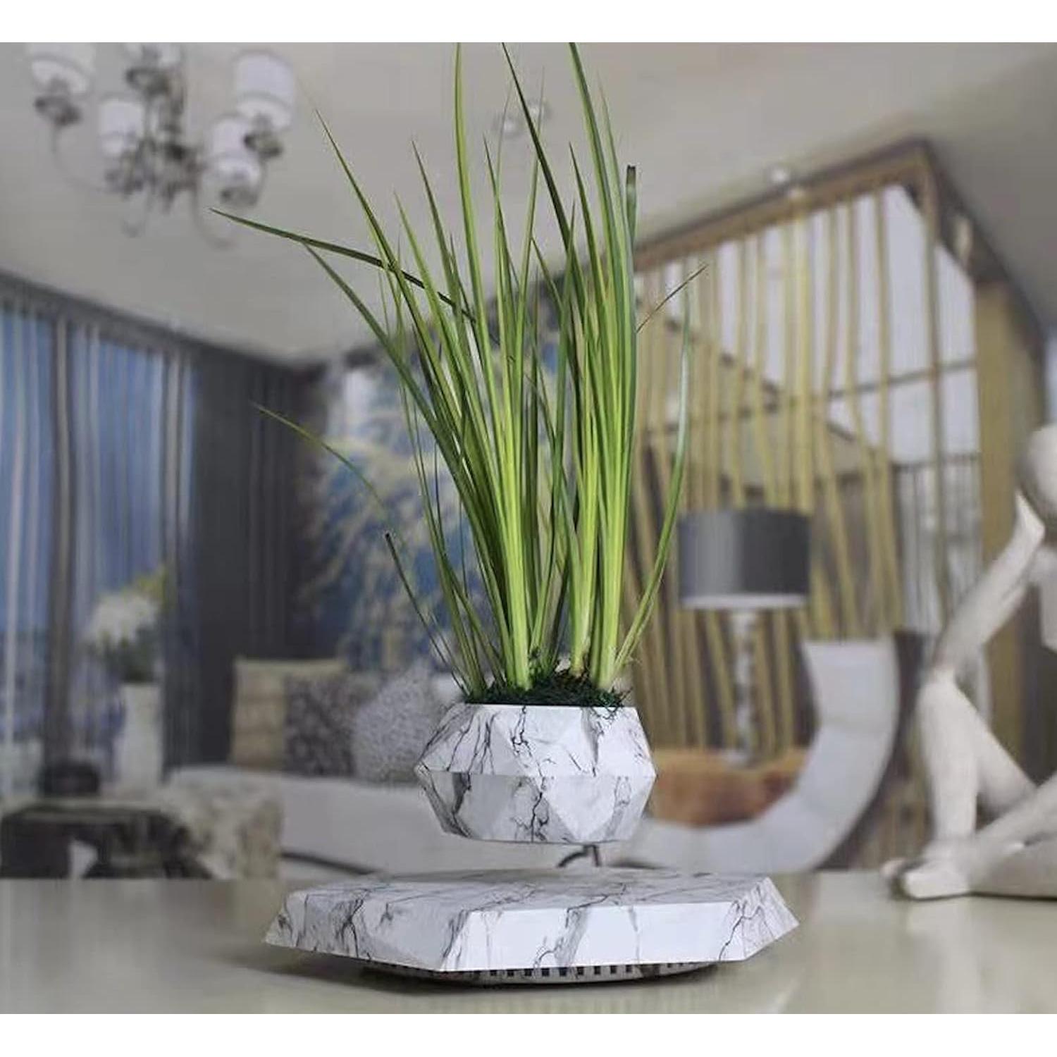 Maceta Flotante KIYOMING para Bonsai 9 cm Moderno