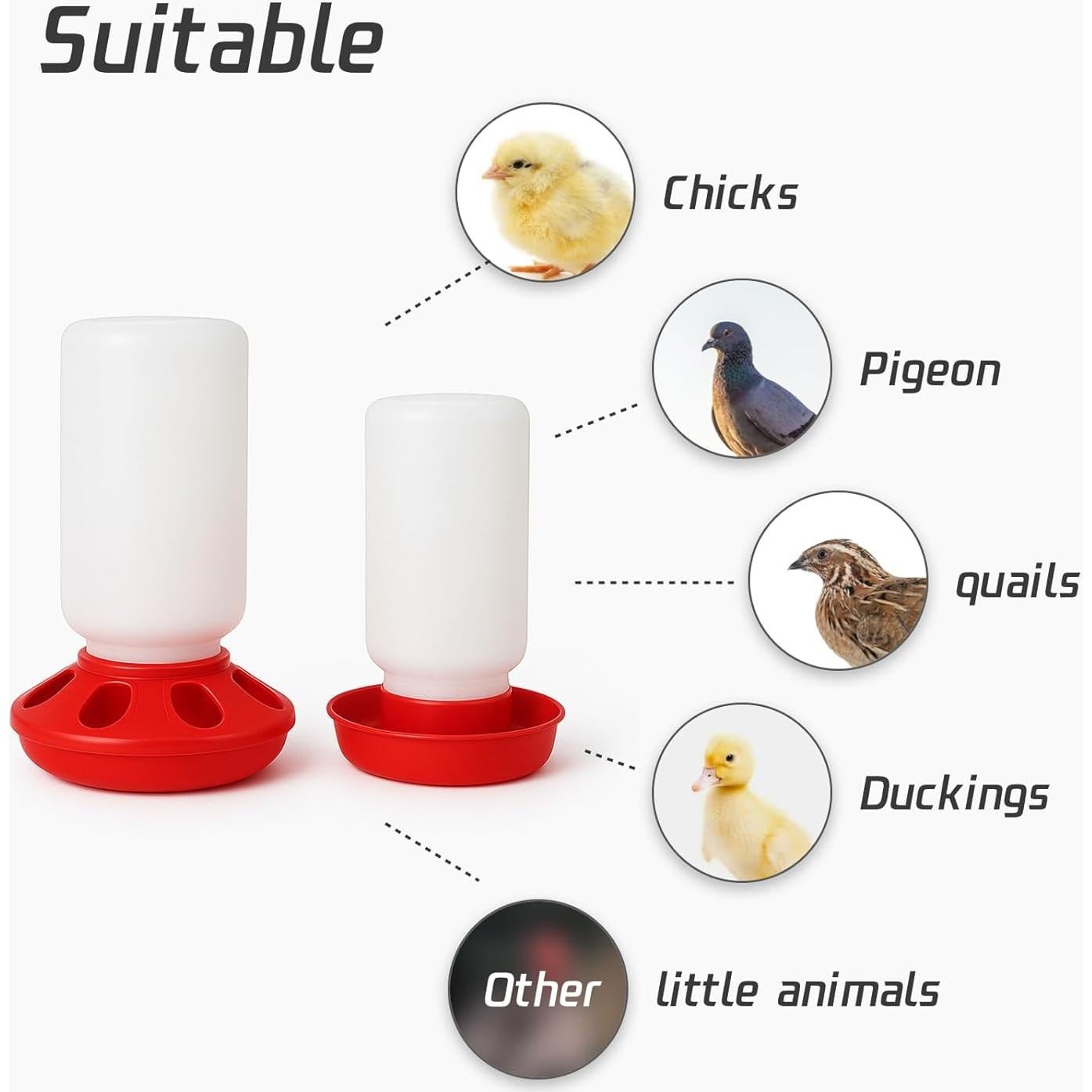 Juego de Alimentador y Bebedero Sansanshangmao para Pollitos 0.95L